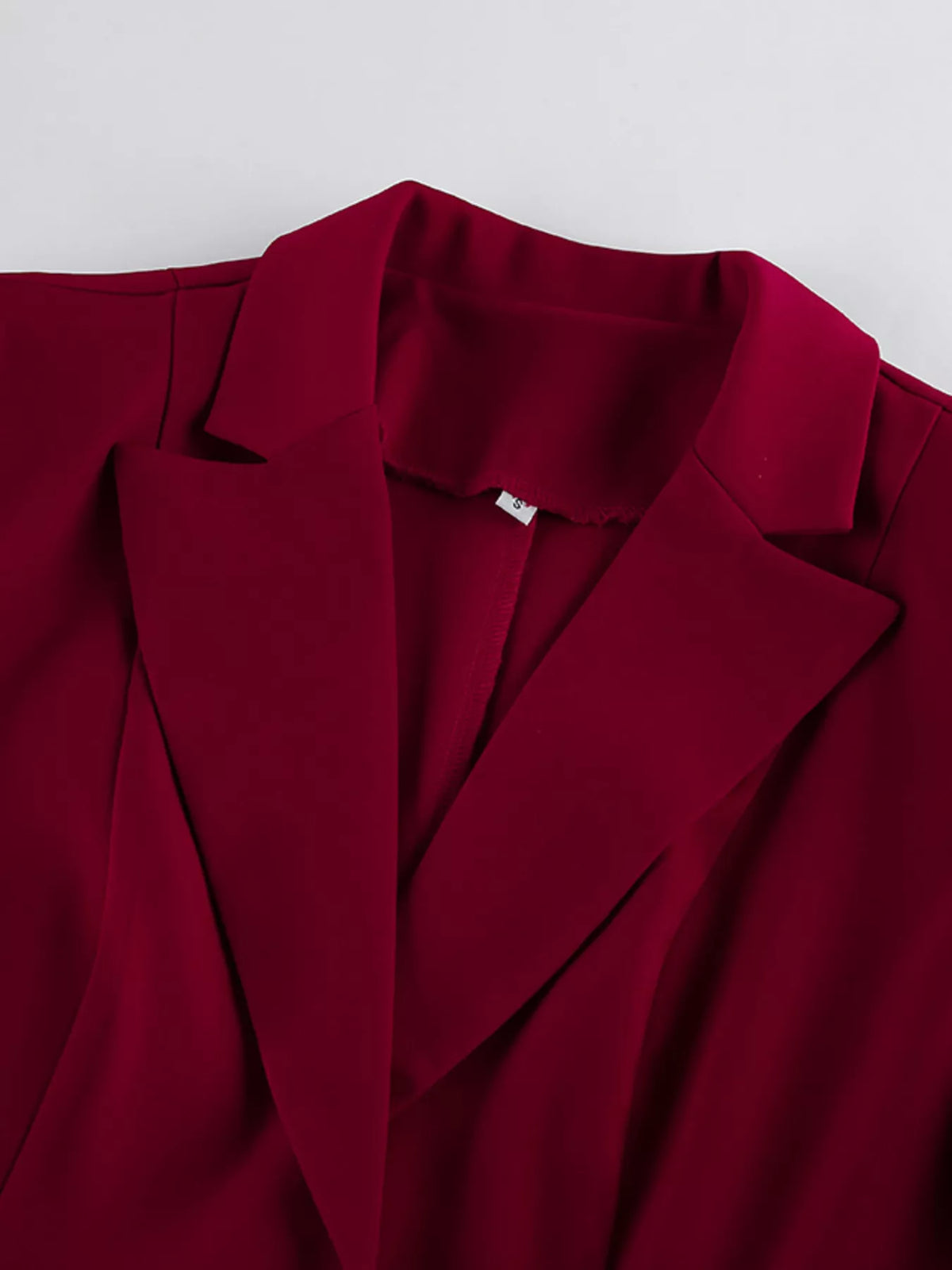 Lapel Collar Blazer and Wide-Leg Pants Set in Wine Red, view 12