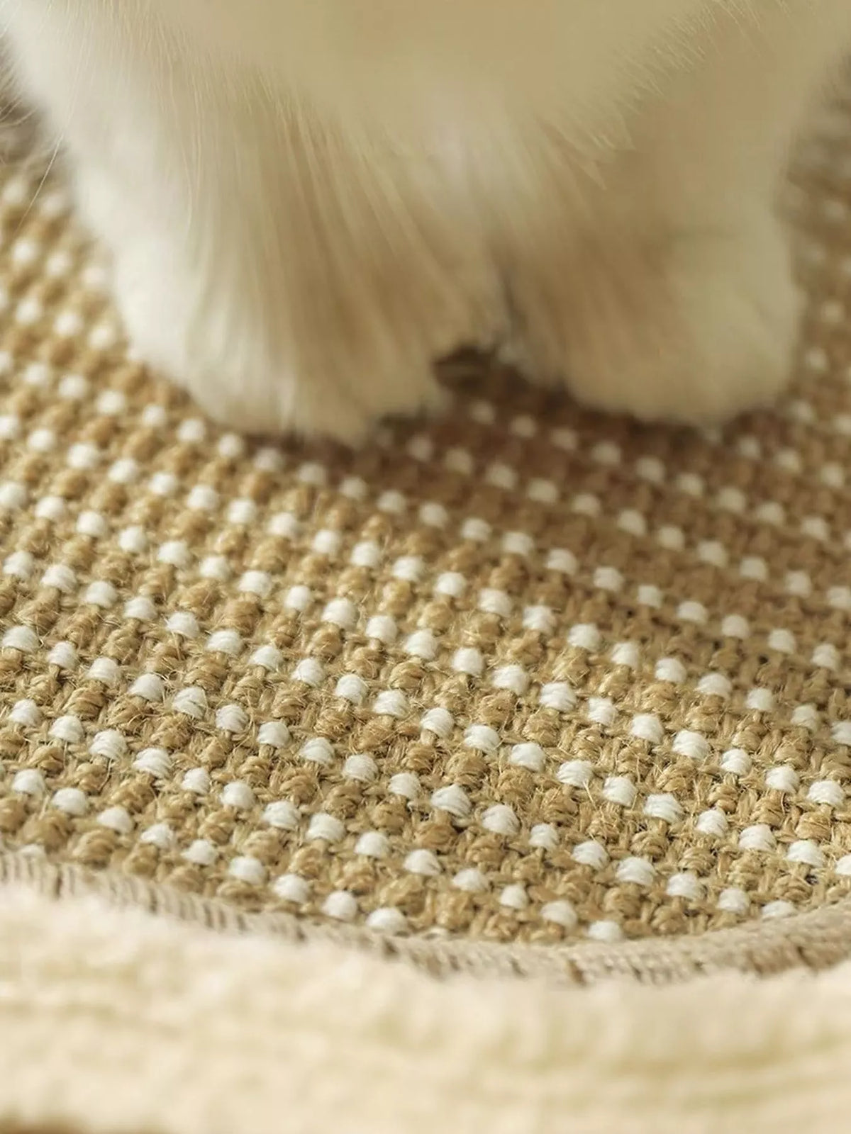 Soft Cat Scratching Post Bed - Lilixa.store