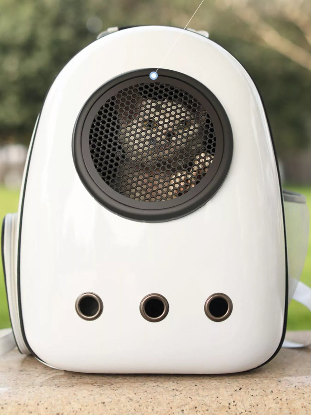 Space Capsule Transparent Pet Carrier Backpack - Lilixa.store