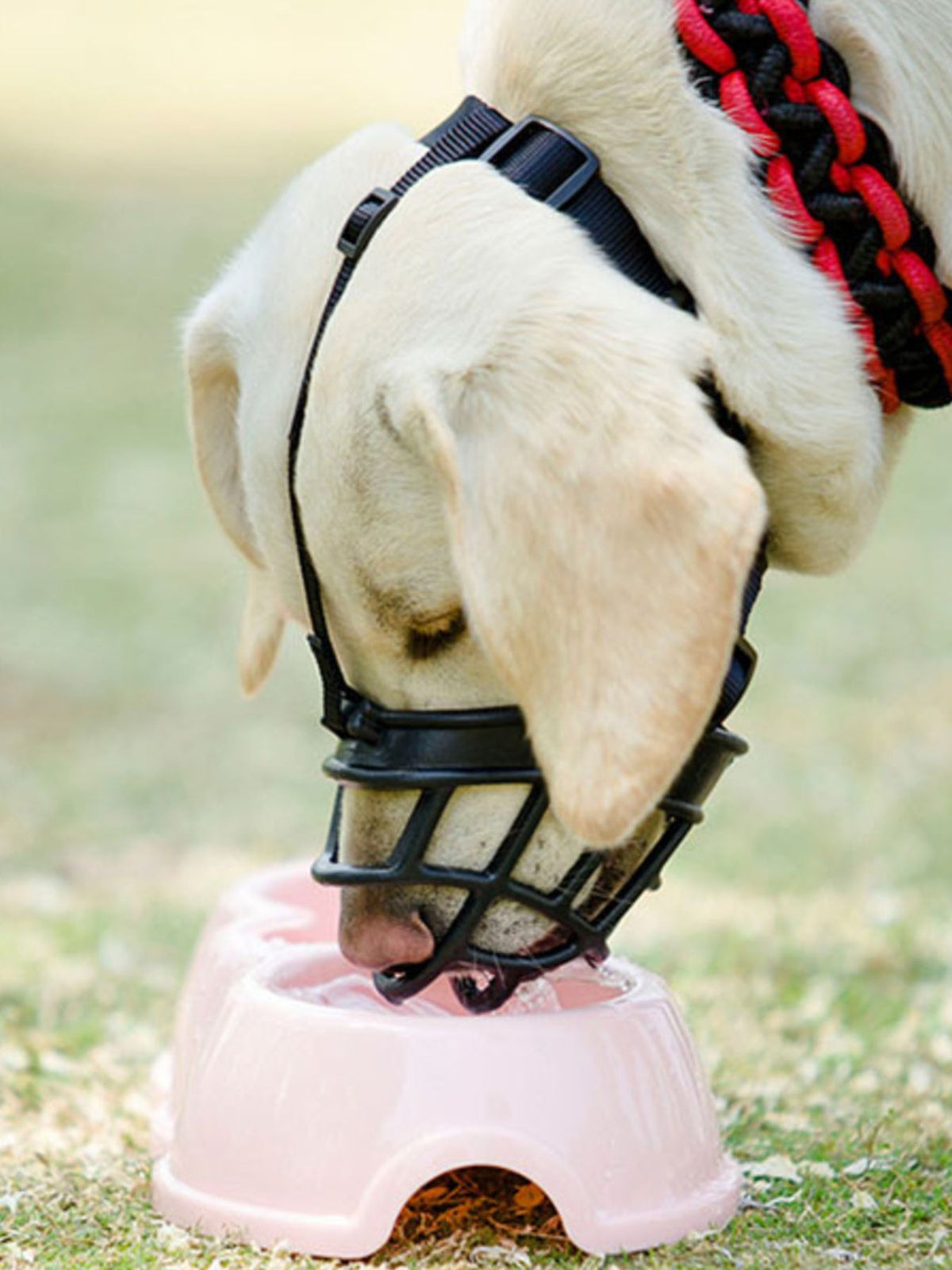 Anti-Bite Pet Muzzle - Lilixa.store