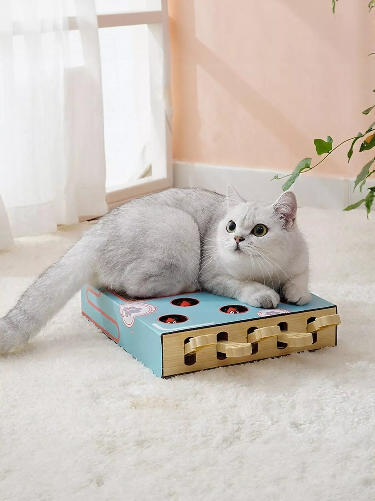 Interactive Whack-A-Mole Cat Toy Box - Lilixa.store