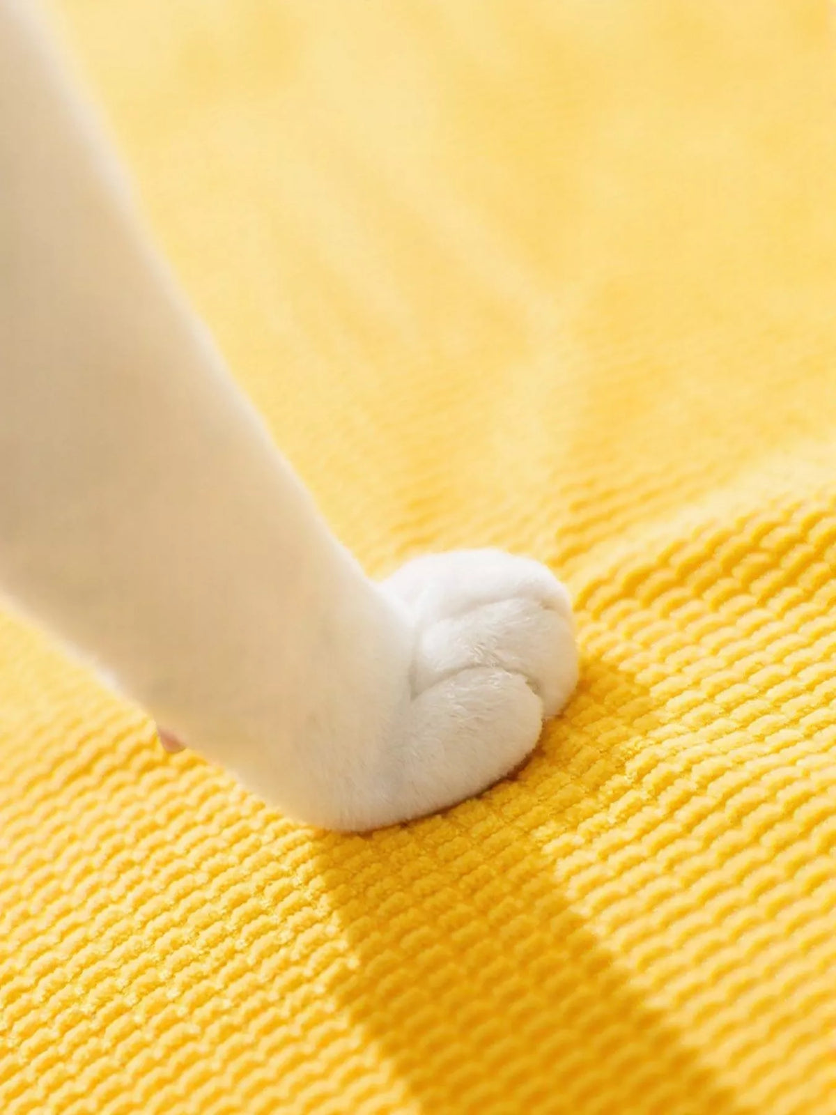 Soft Pet Stairs - Lilixa.store