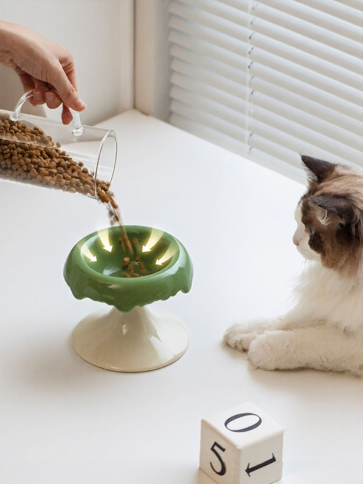 Elevated Ceramic Pet Bowl - Lilixa.store