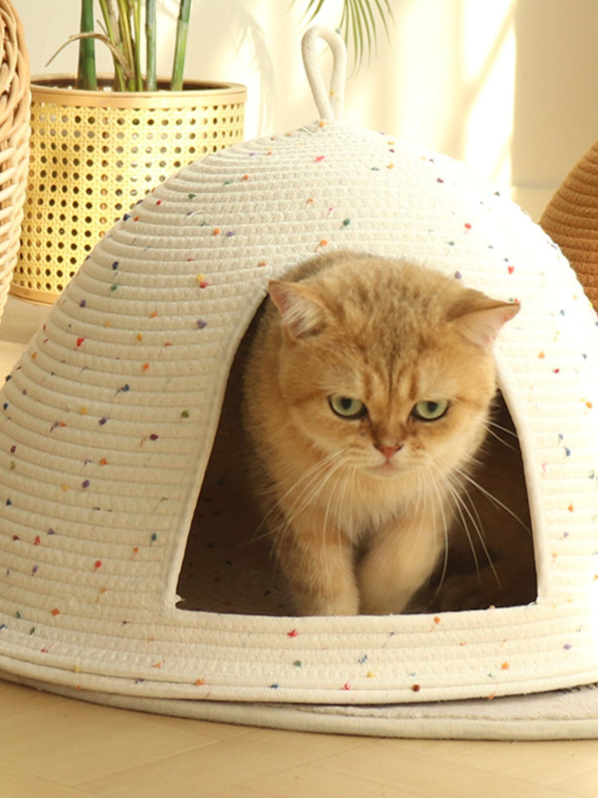 Cozy Rope Woven Cat Cave Bed with Handle - Lilixa.store