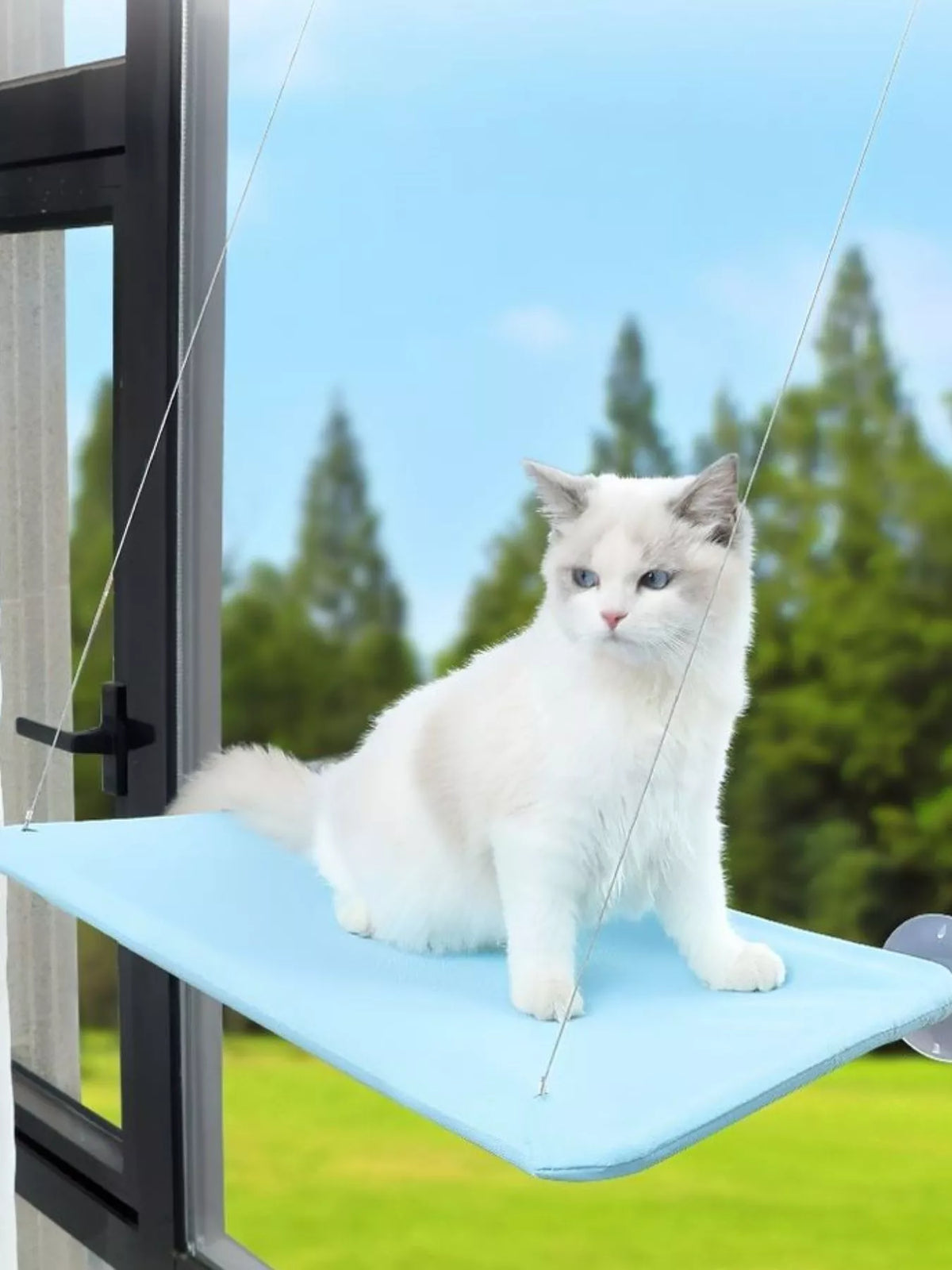 Window Perch Cat Hammock with Suction Cups - Lilixa.store