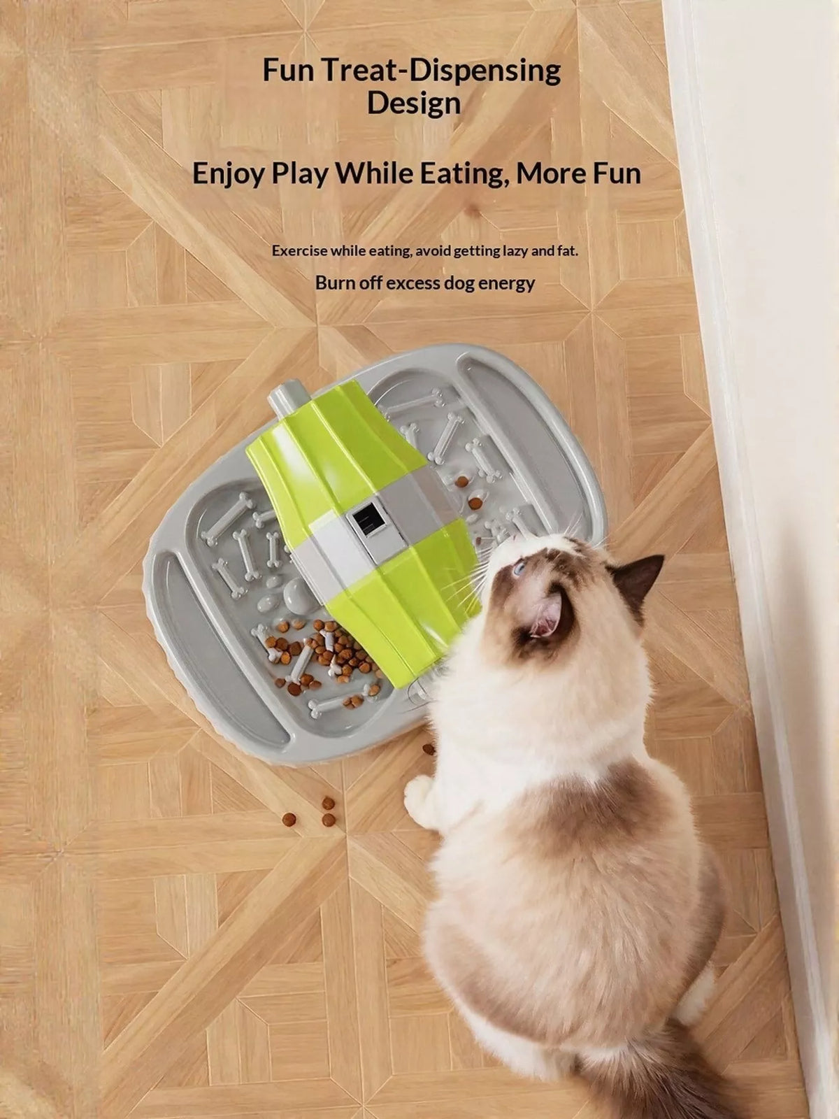 Adjustable Height Pet Feeding Station - Lilixa.store