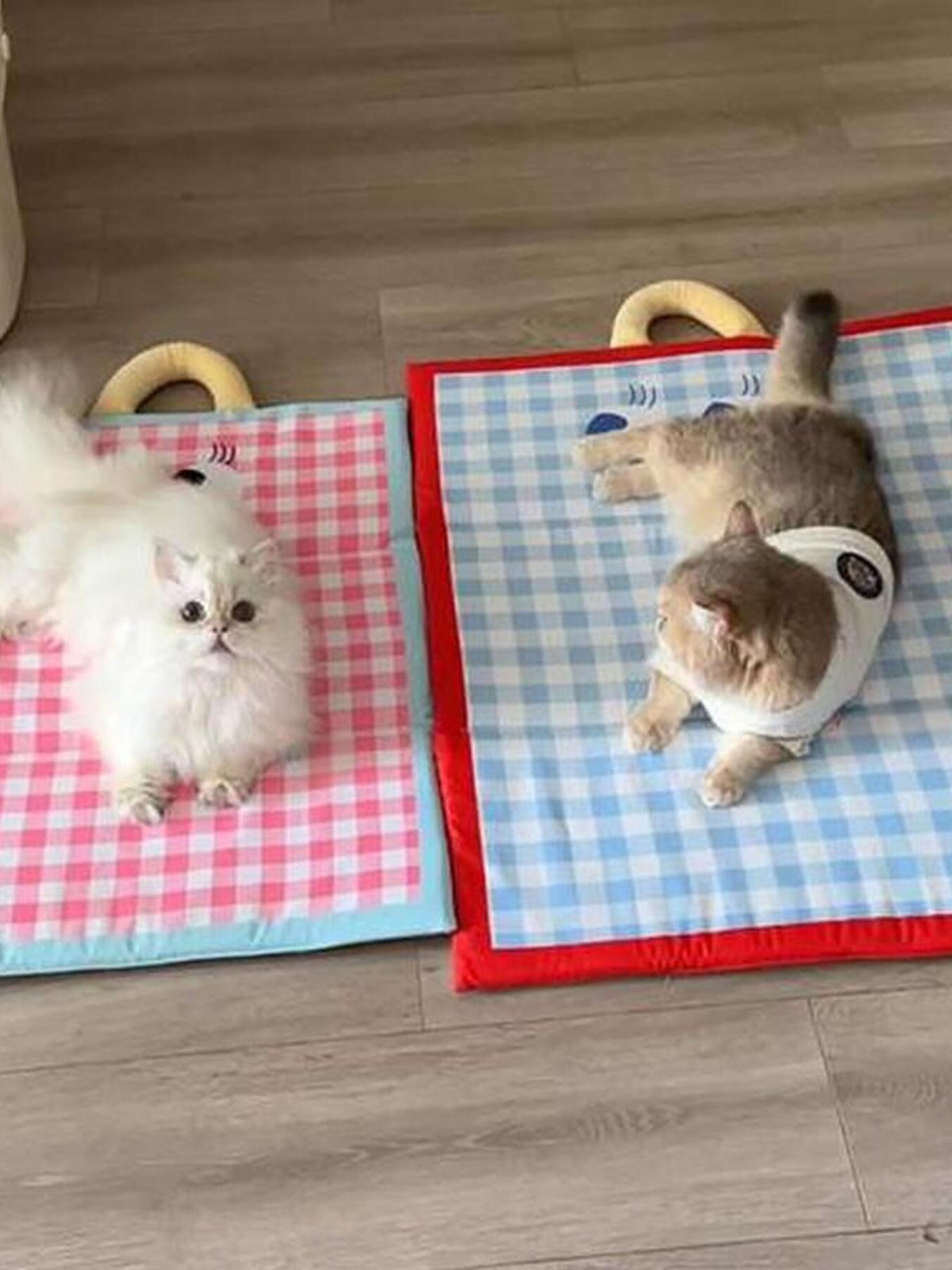 Plaid Pet Mat with Handle - Lilixa.store