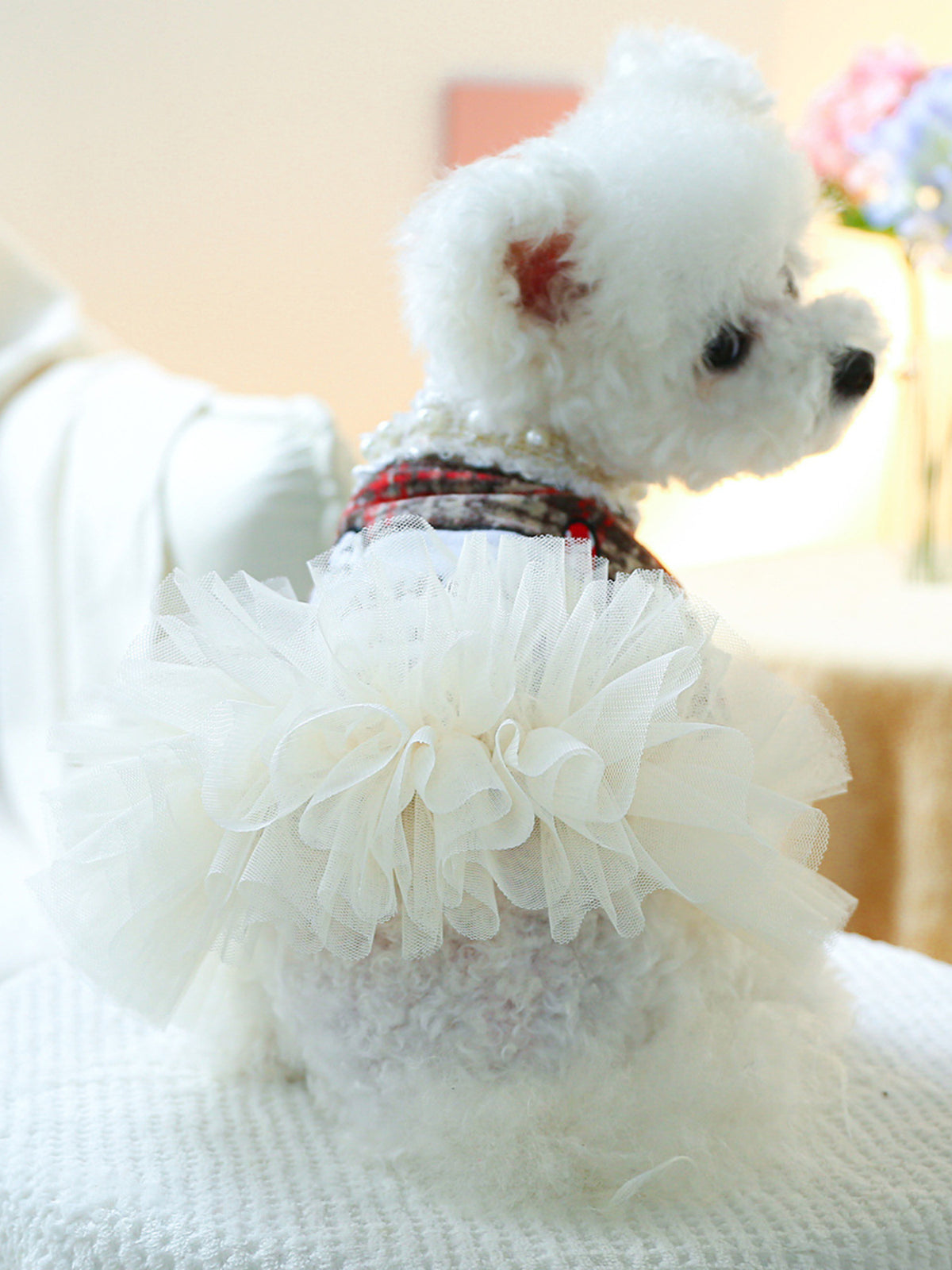 Pearl Collar Pet Dress - Lilixa.store