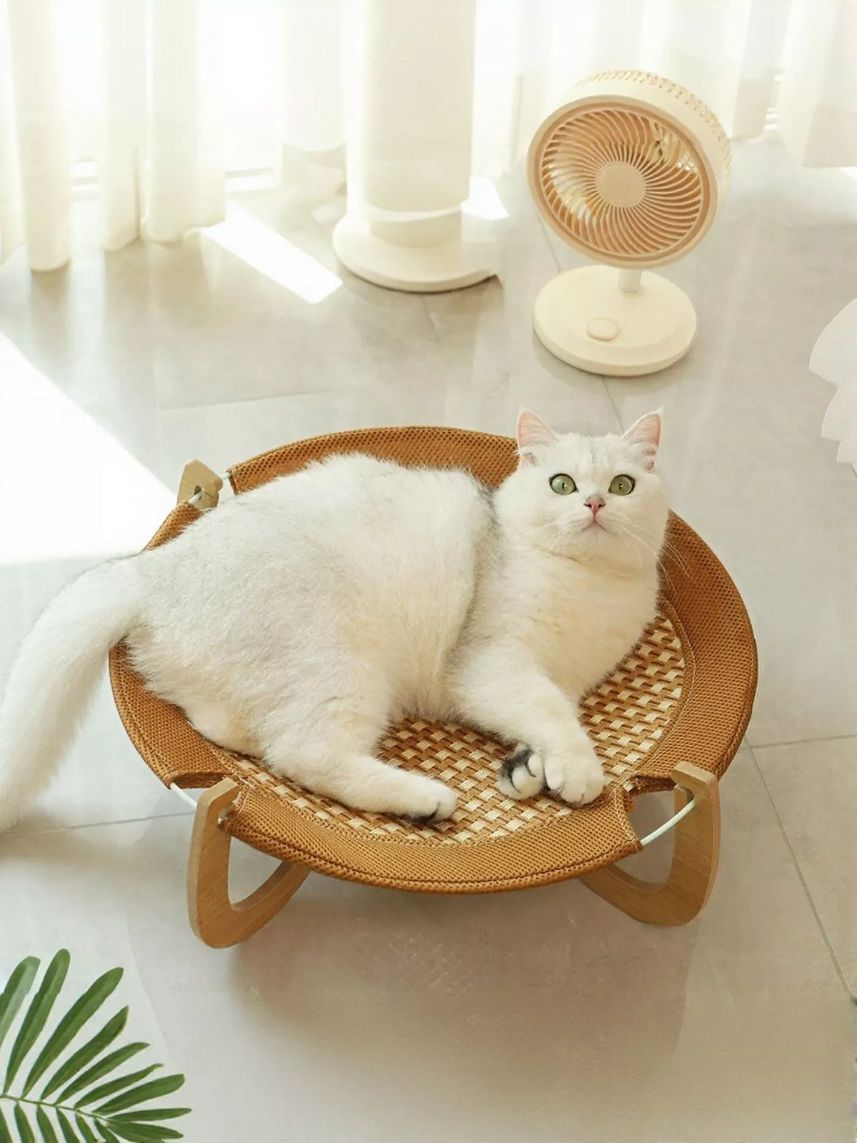 Round Woven Elevated Pet Bed - Lilixa.store