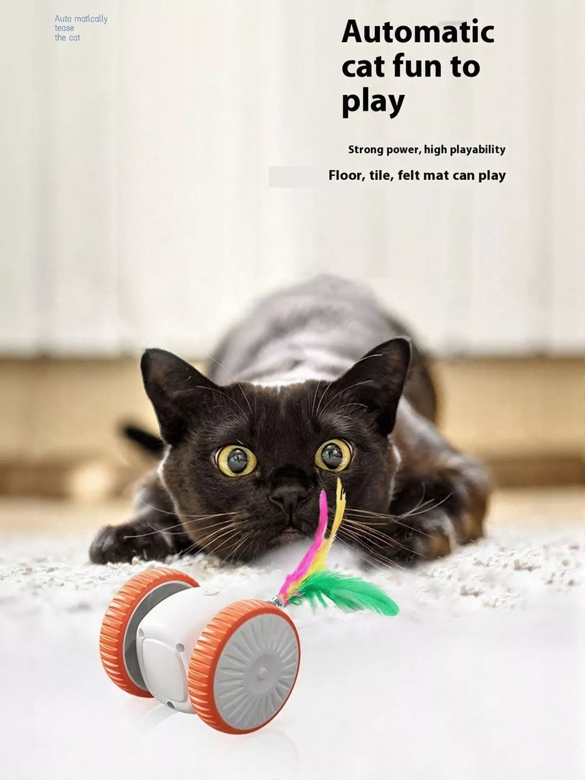 Interactive Self-Rotating Feather Pet Chase Toy - Lilixa.store