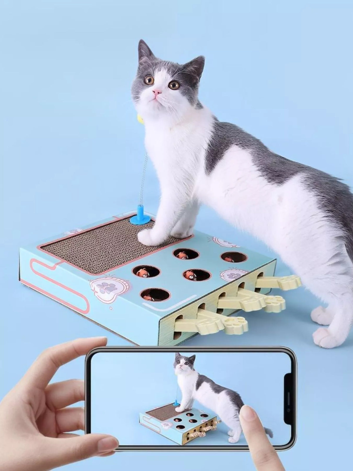 Interactive Whack-A-Mole Cat Toy Box - Lilixa.store