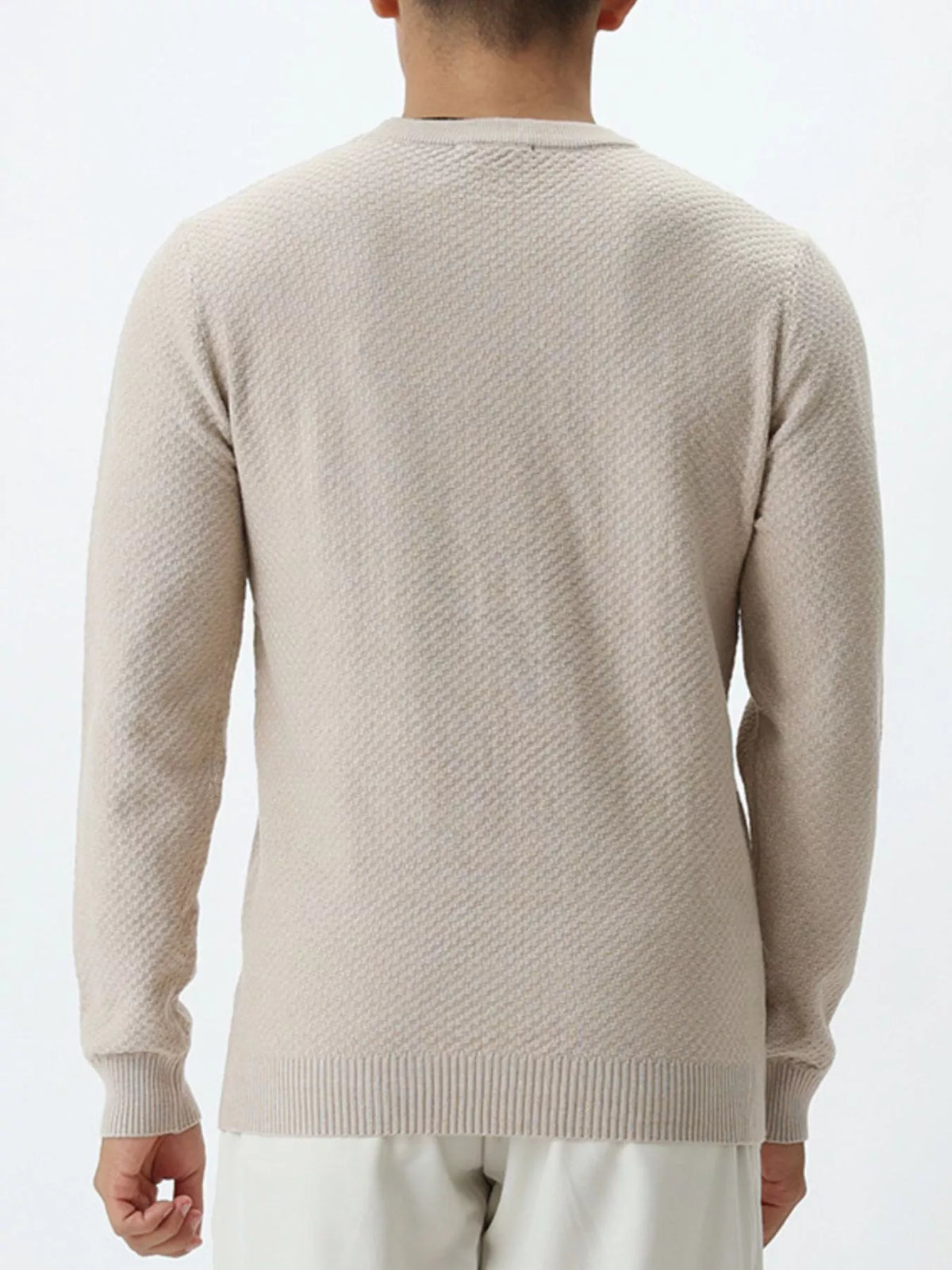 Men's Plus Size Textured Crew Neck Sweater