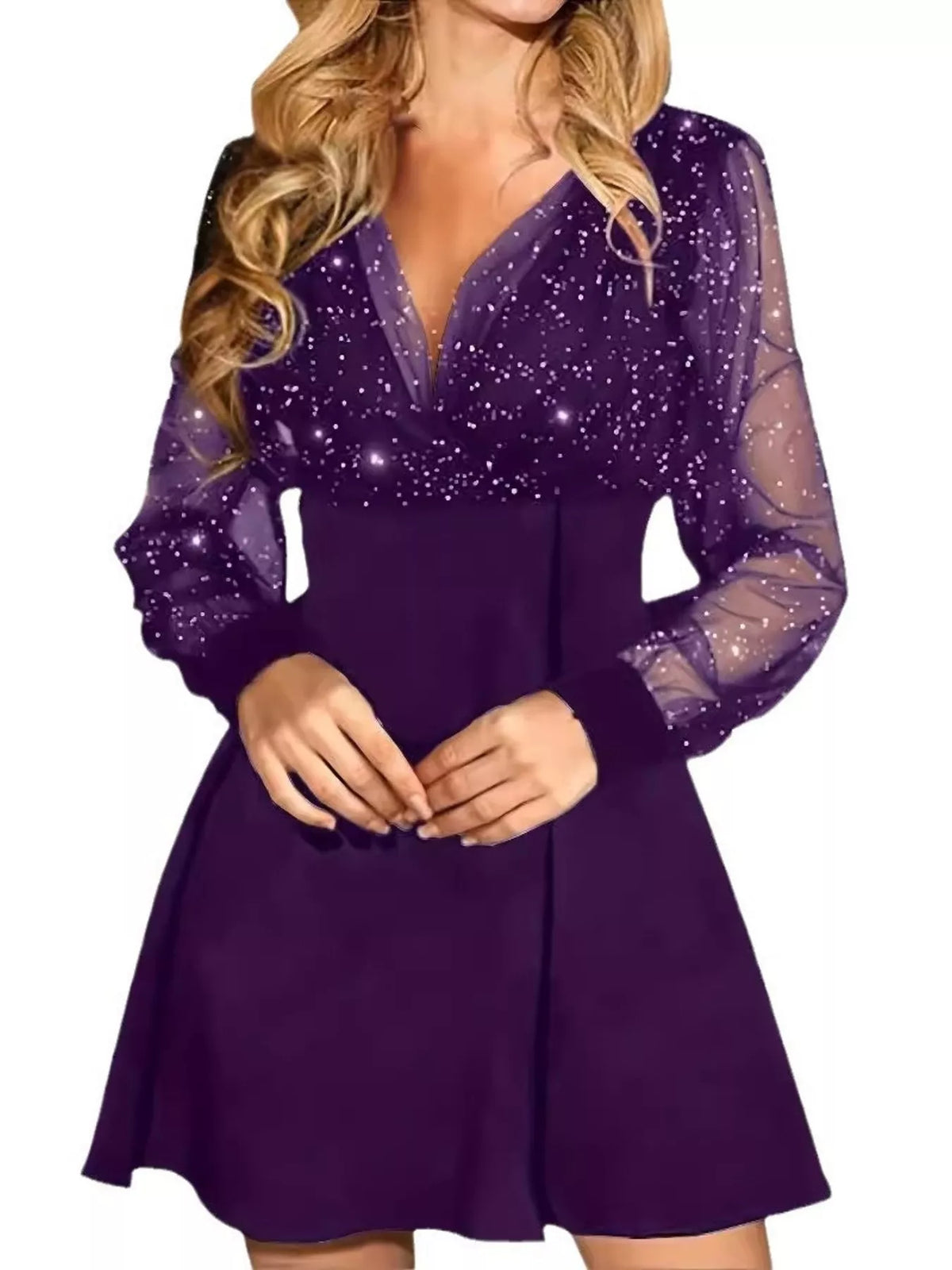 Glitter Mesh Long Sleeve Mini Dress - Lilixa.store