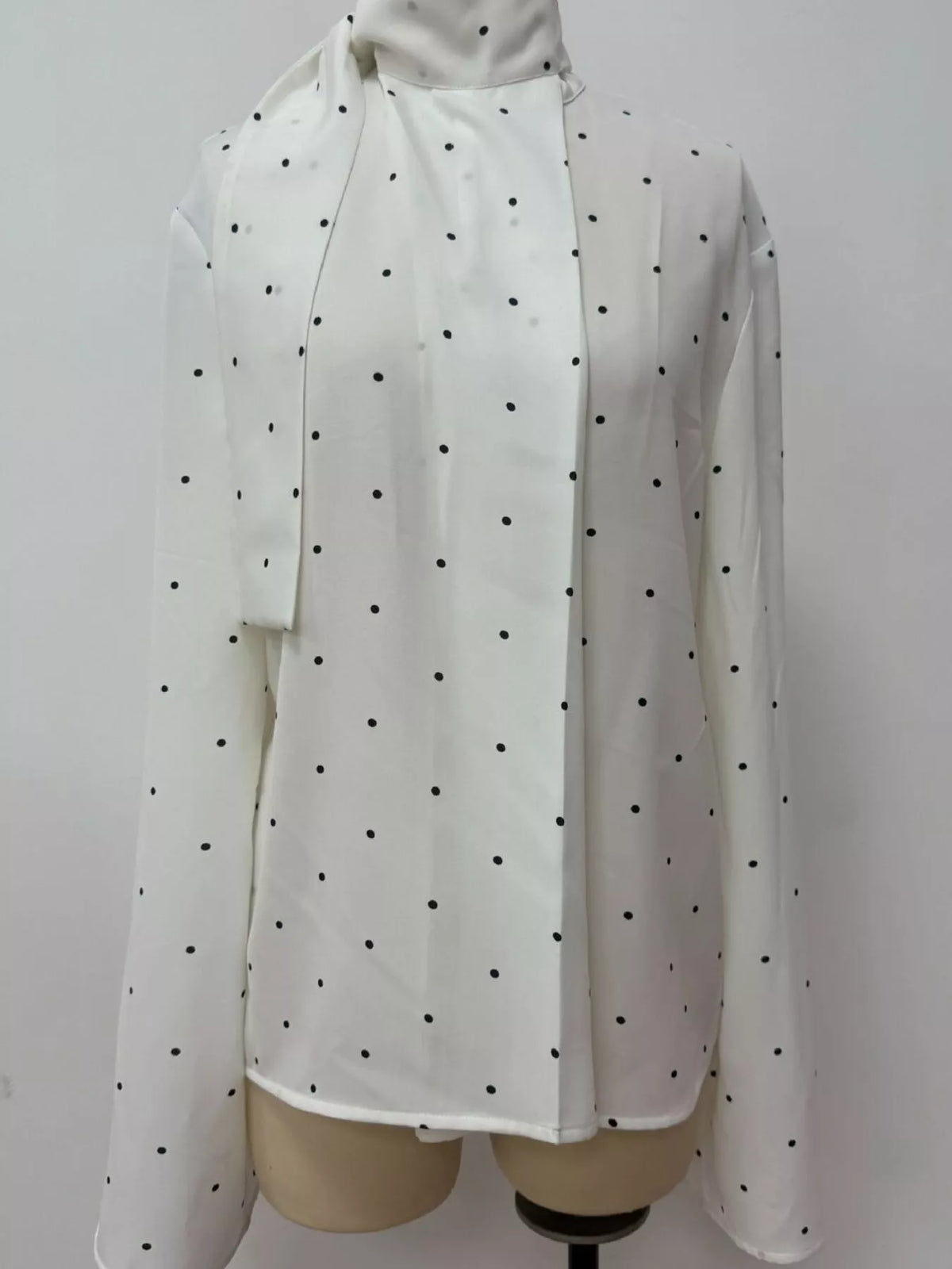 Polka Dot Silk Blouse with Scarf Neck Tie in White, view 8