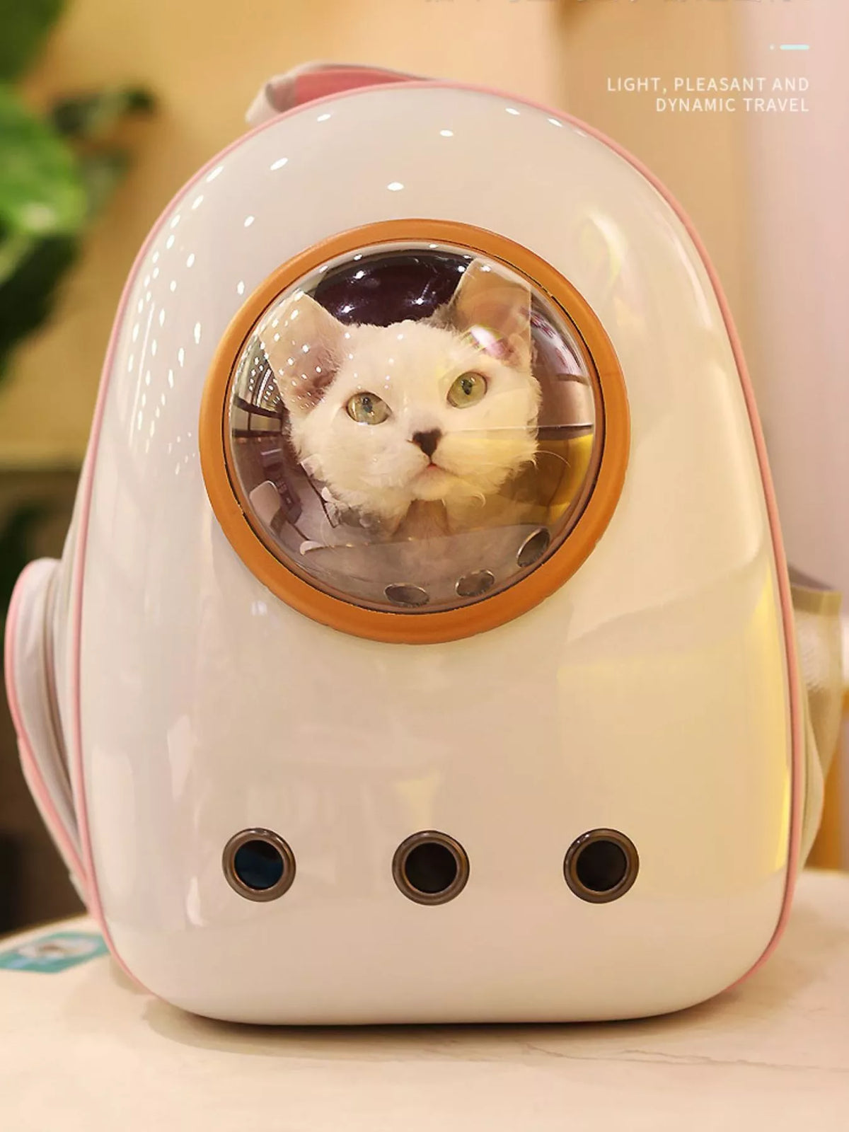 Space Capsule Transparent Pet Carrier Backpack - Lilixa.store