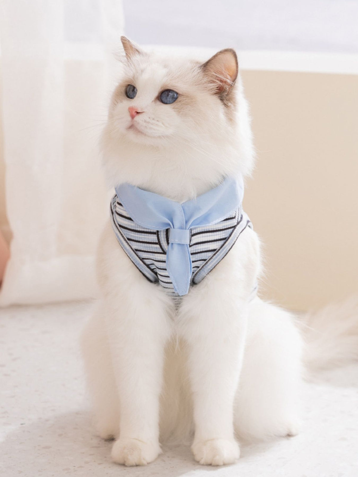 Striped Tied Pet Top - Lilixa.store
