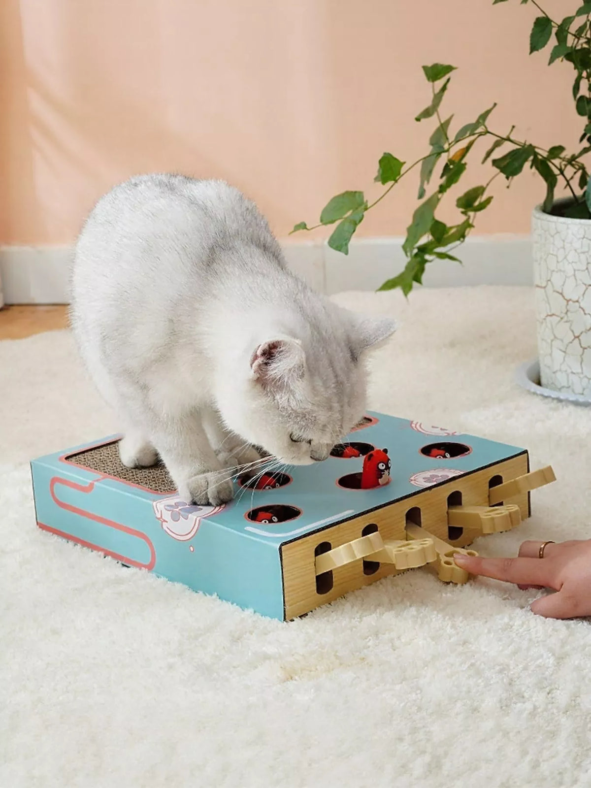 Interactive Whack-A-Mole Cat Toy Box - Lilixa.store