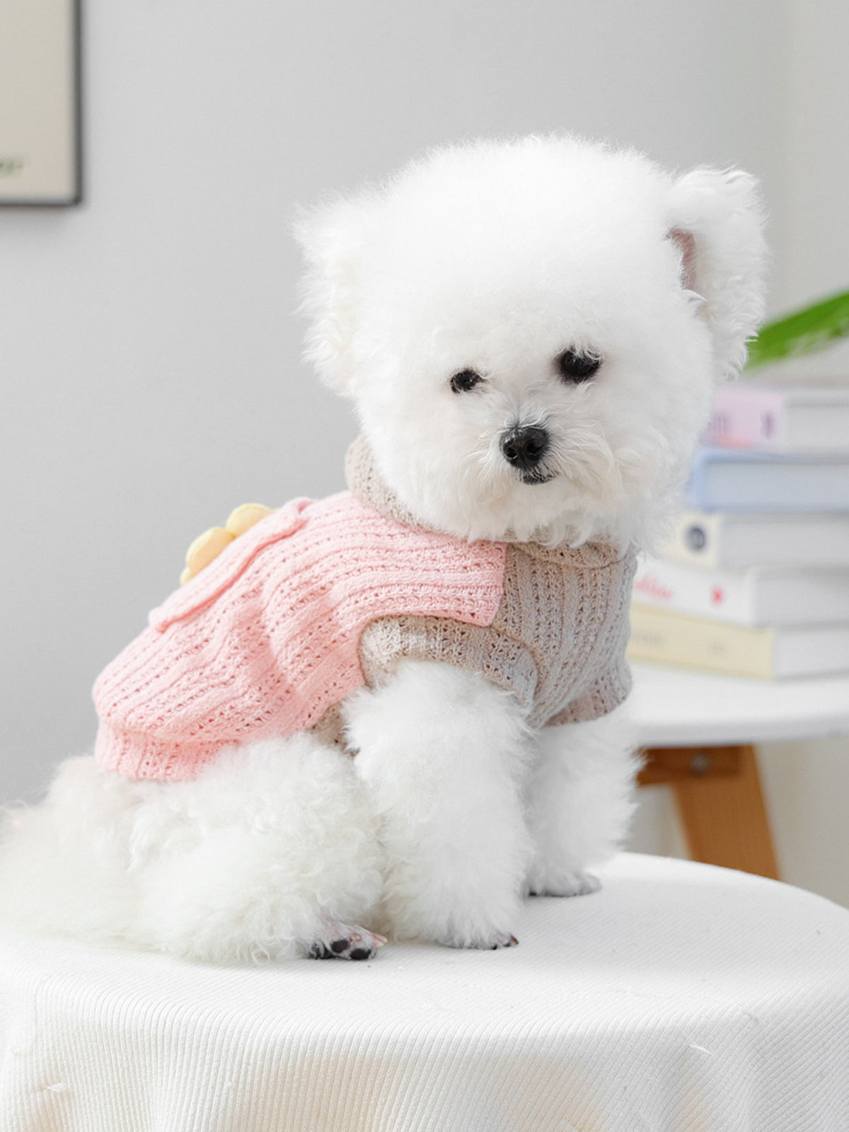 Flower Knitted Pet Hoodie