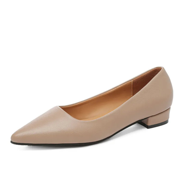 Pointed Toe Low Heel Pump - Lilixa.store