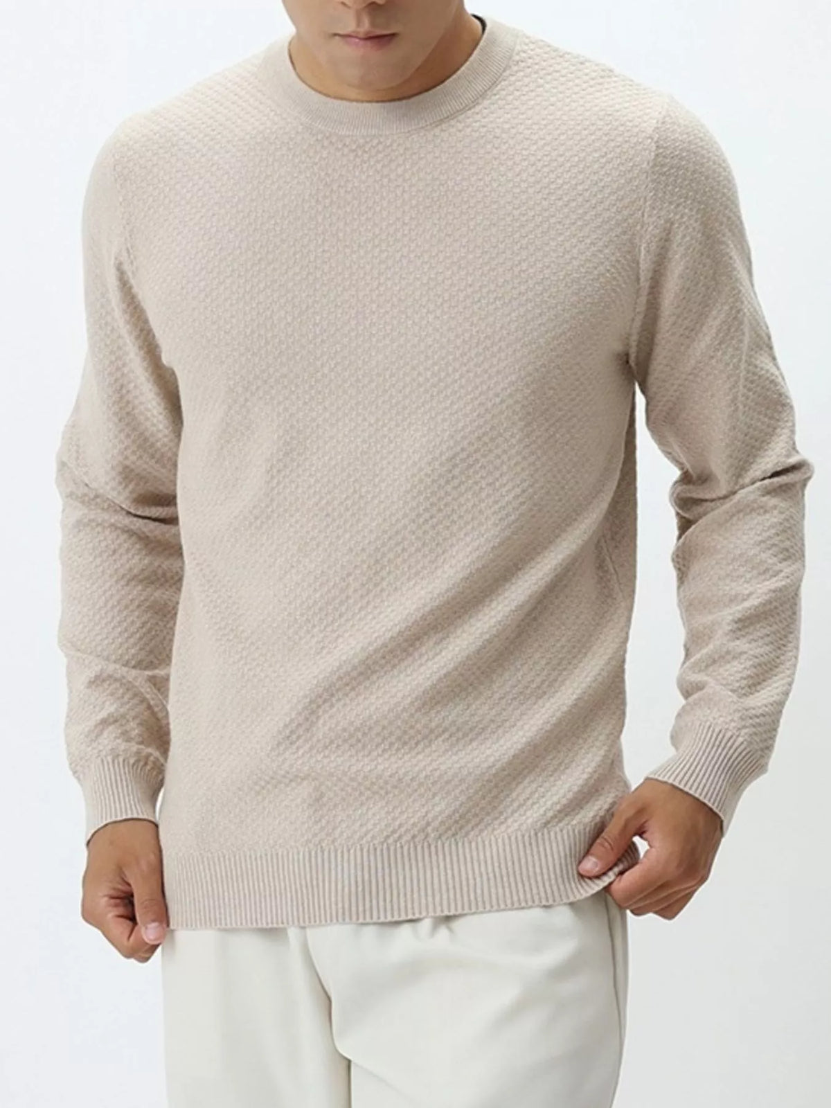 Men's Plus Size Textured Crew Neck Sweater