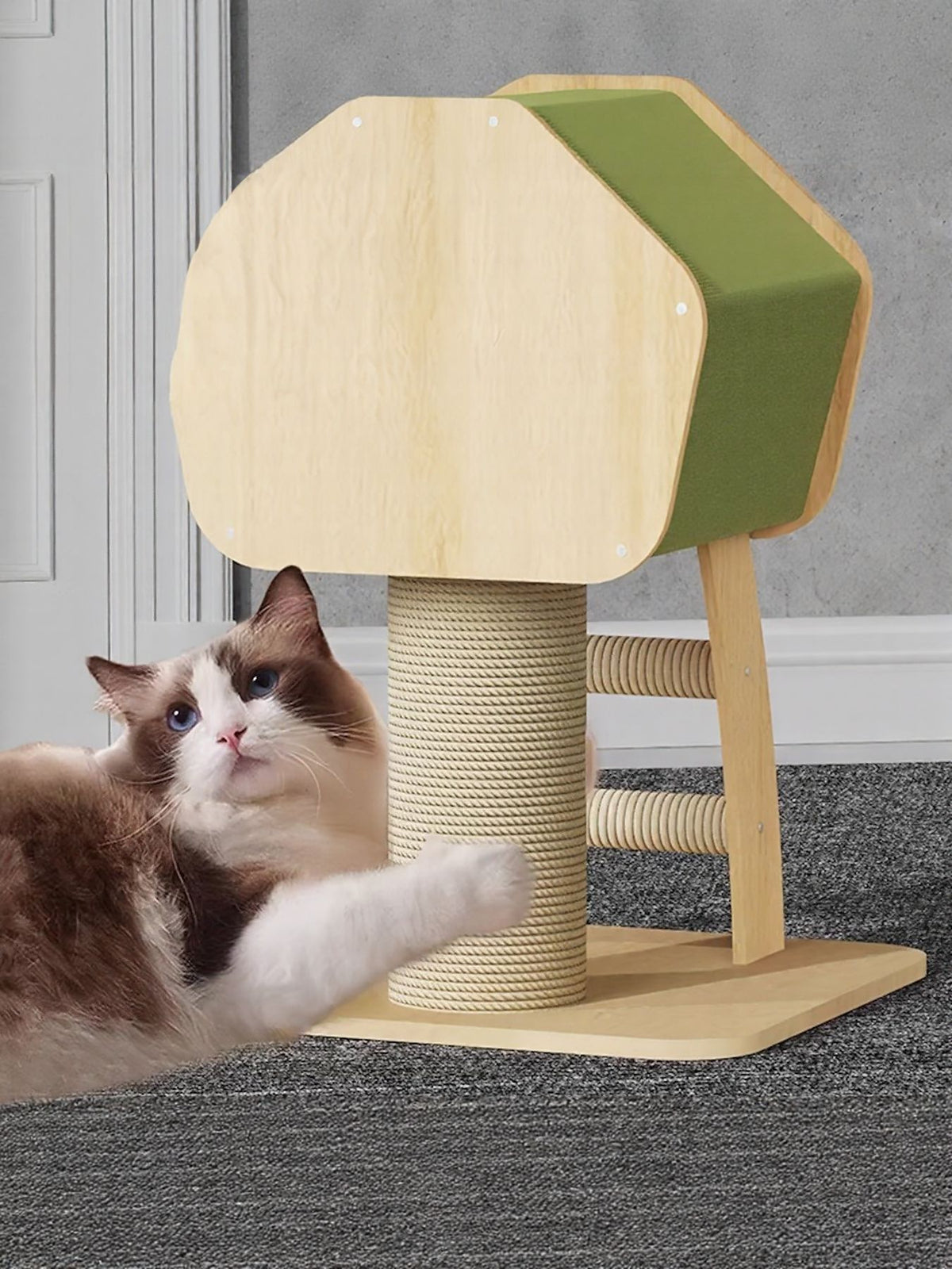 Modern Wooden Cat Condo with Scratching Post - Lilixa.store