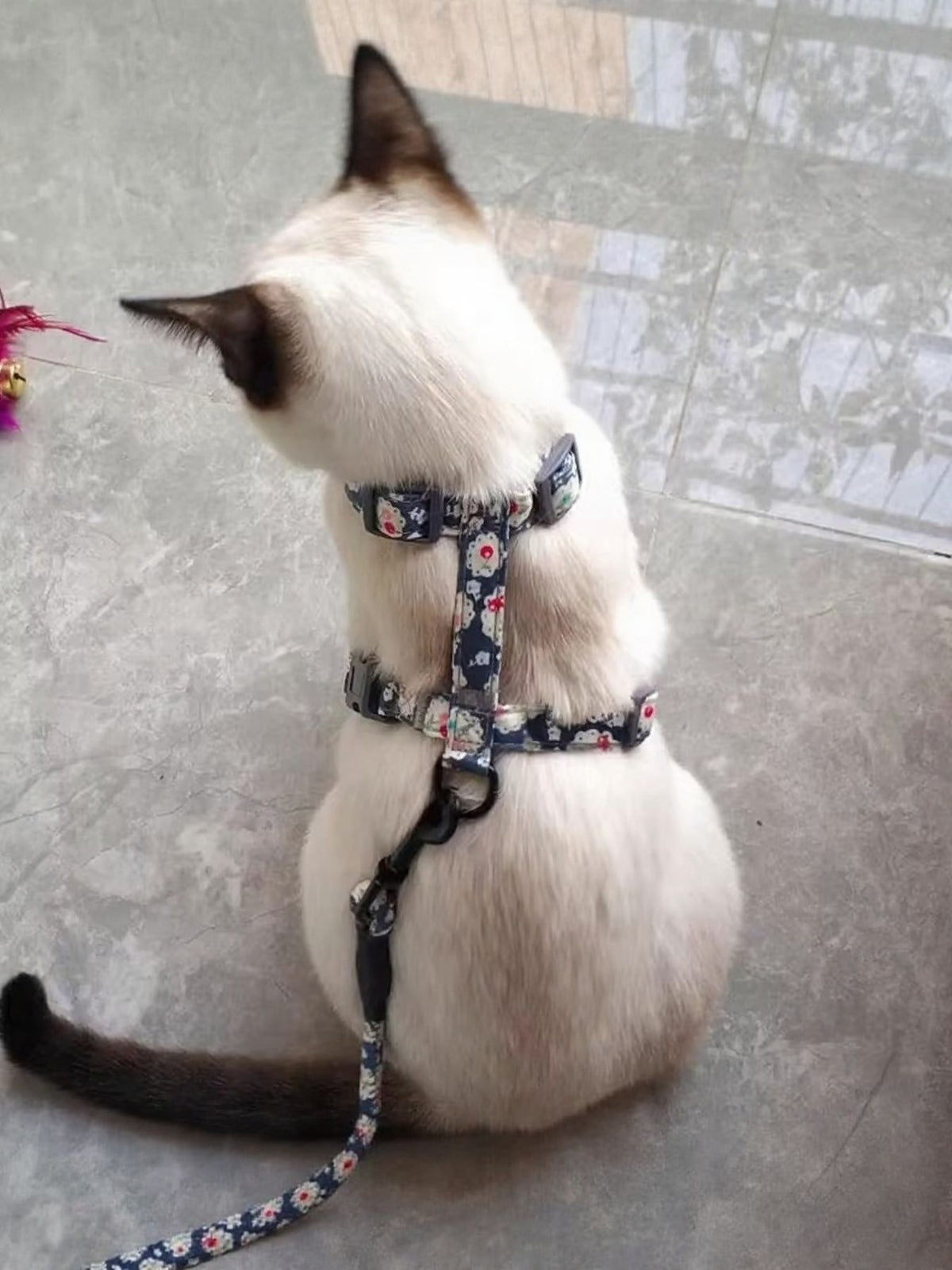 Escape Proof Cat Harness and Leash Set - Lilixa.store
