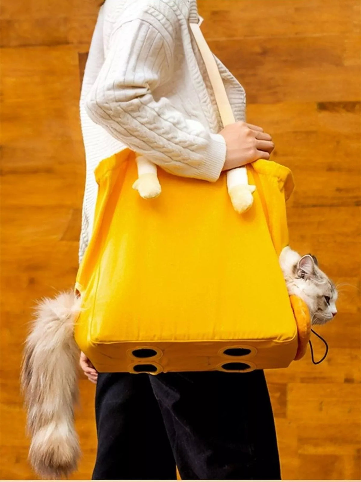 Portable Breathable Pet Bag - Lilixa.store