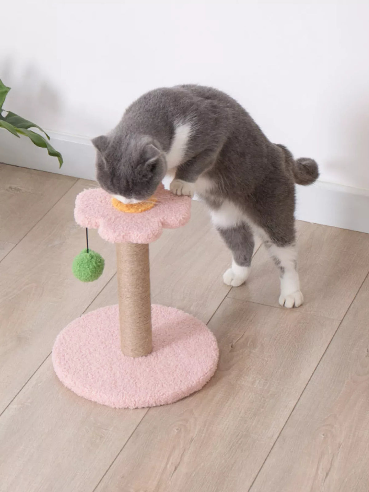 Flower-Shaped Cat Scratching Post with Plush Base - Lilixa.store