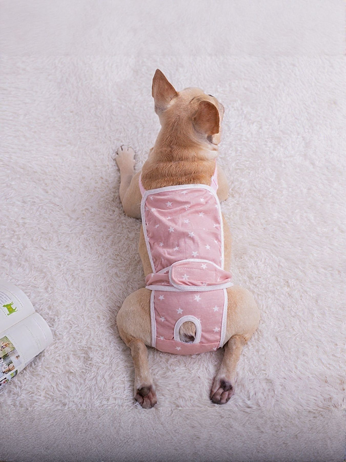 Anti-Harassment Pet Functional Clothing