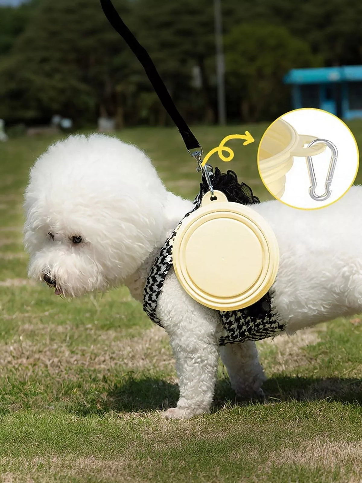 Portable Collapsible Pet Bowls - Lilixa.store