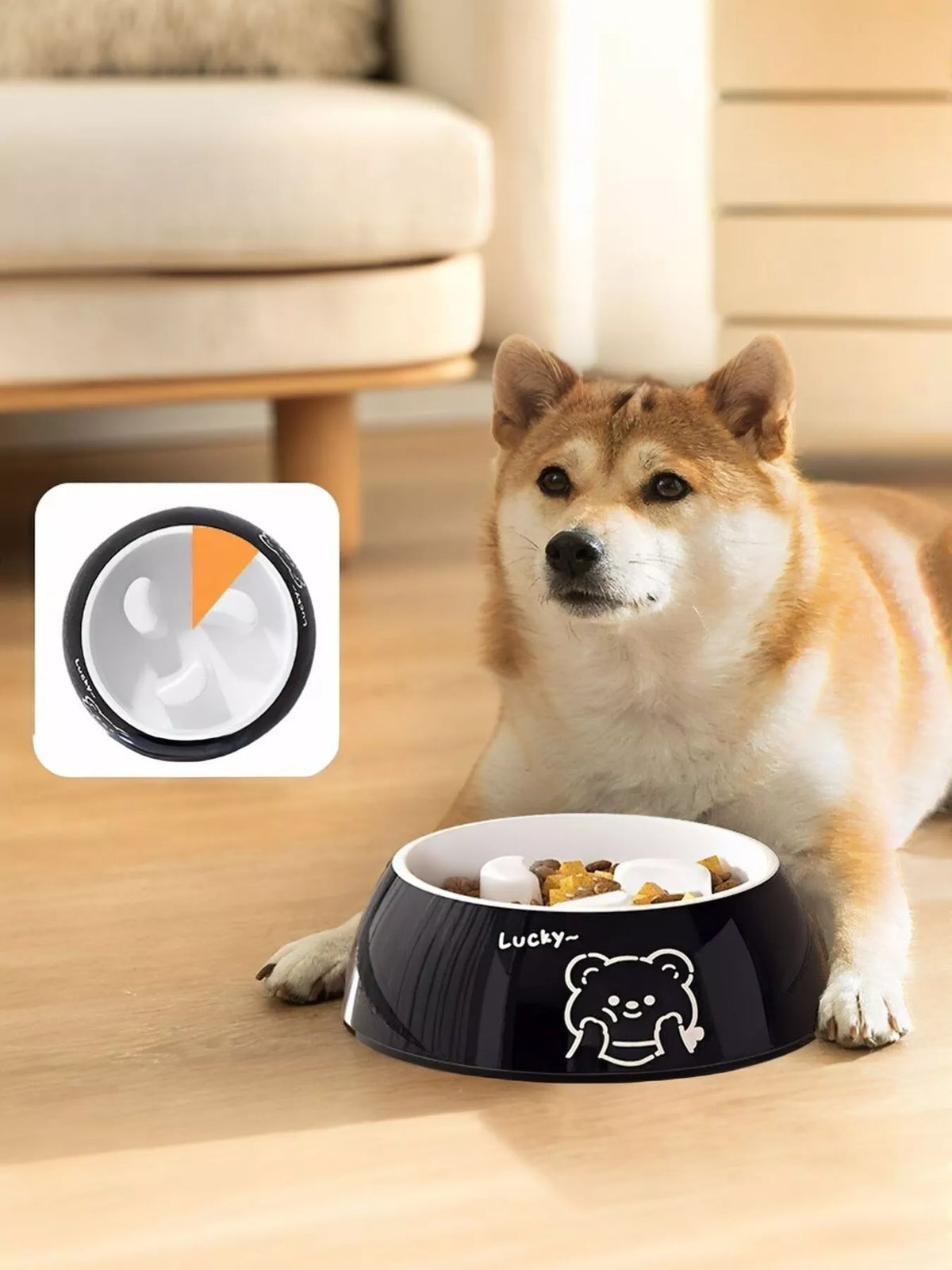 Cute Cartoon Pattern Pet Bowl - Lilixa.store