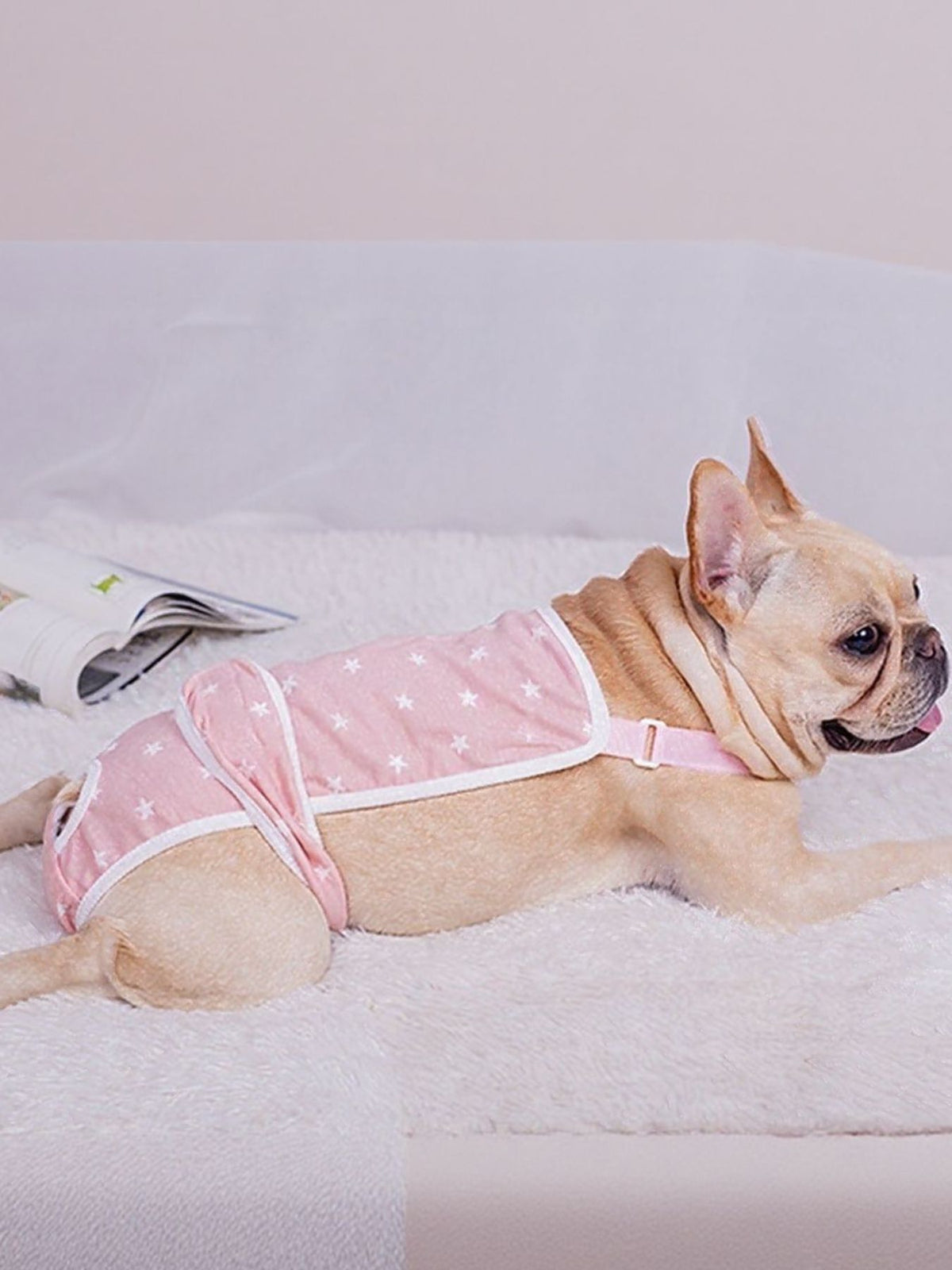 Anti-Harassment Pet Functional Clothing