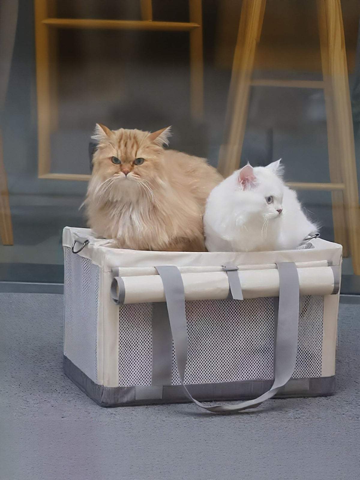 Portable Breathable Pet Carrier Bag - Lilixa.store