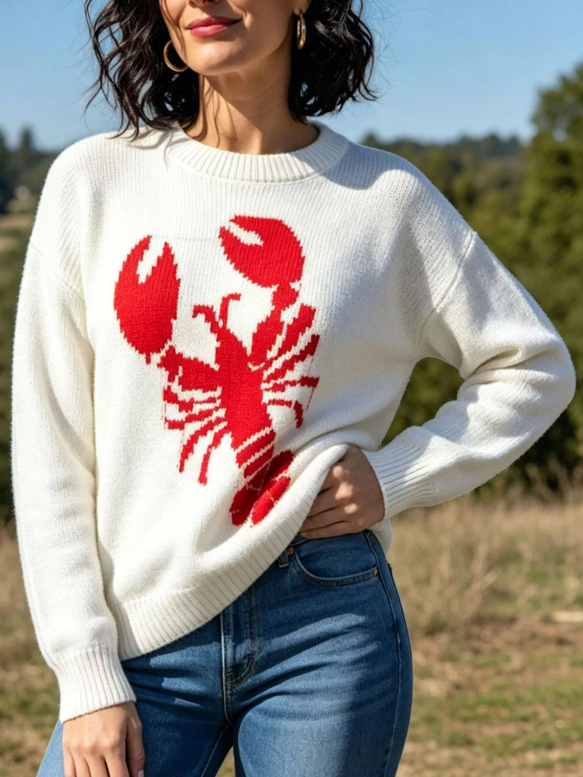 Lobster Graphic Crew Neck Sweater - Lilixa.store