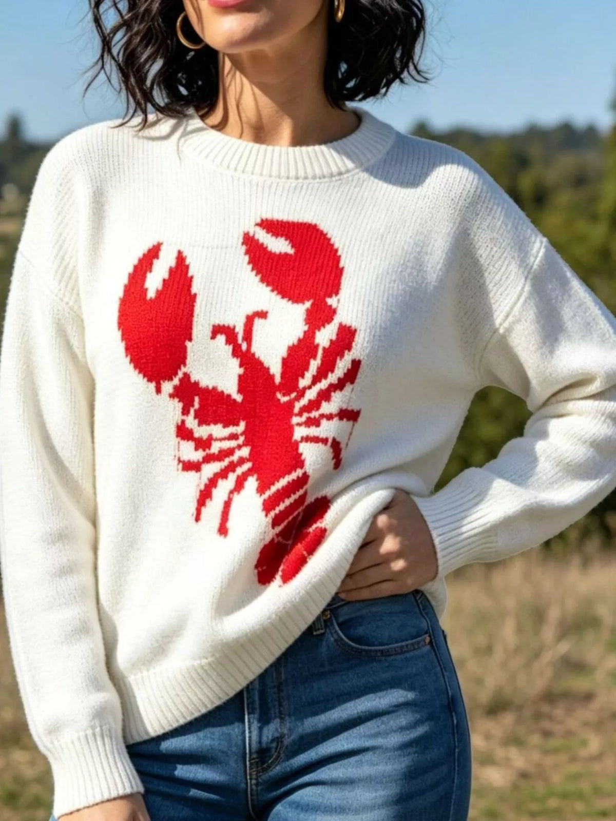 Lobster Graphic Crew Neck Sweater - Lilixa.store