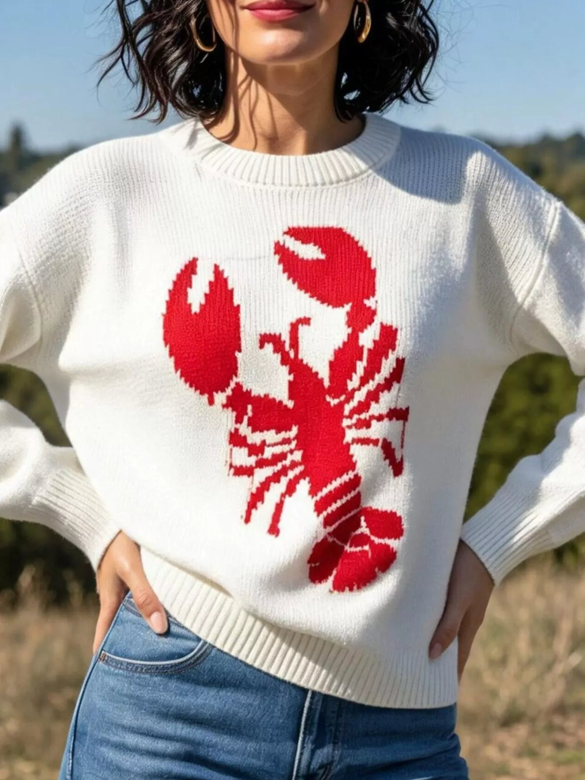 Lobster Graphic Crew Neck Sweater - Lilixa.store
