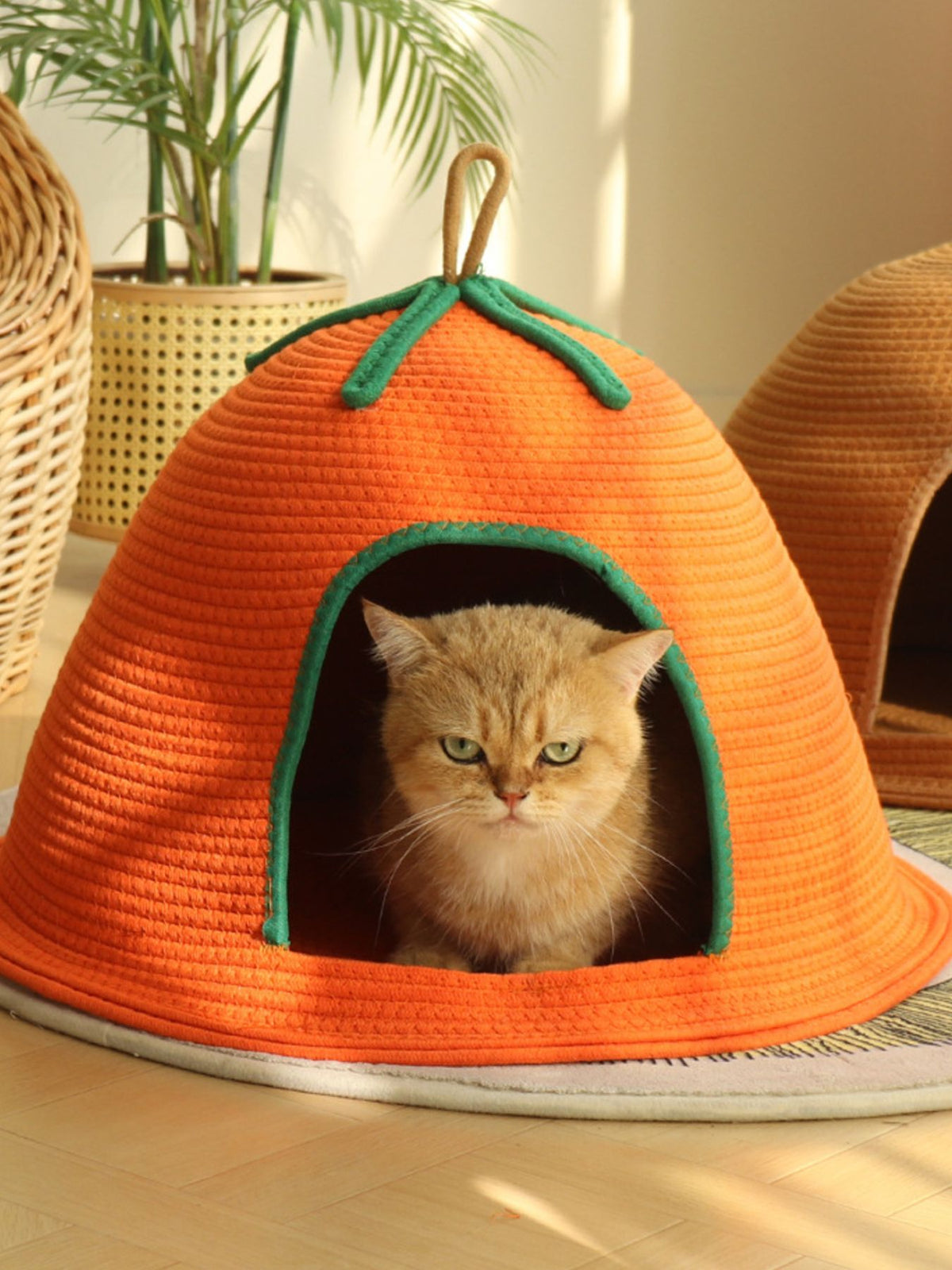Cozy Rope Woven Cat Cave Bed with Handle - Lilixa.store