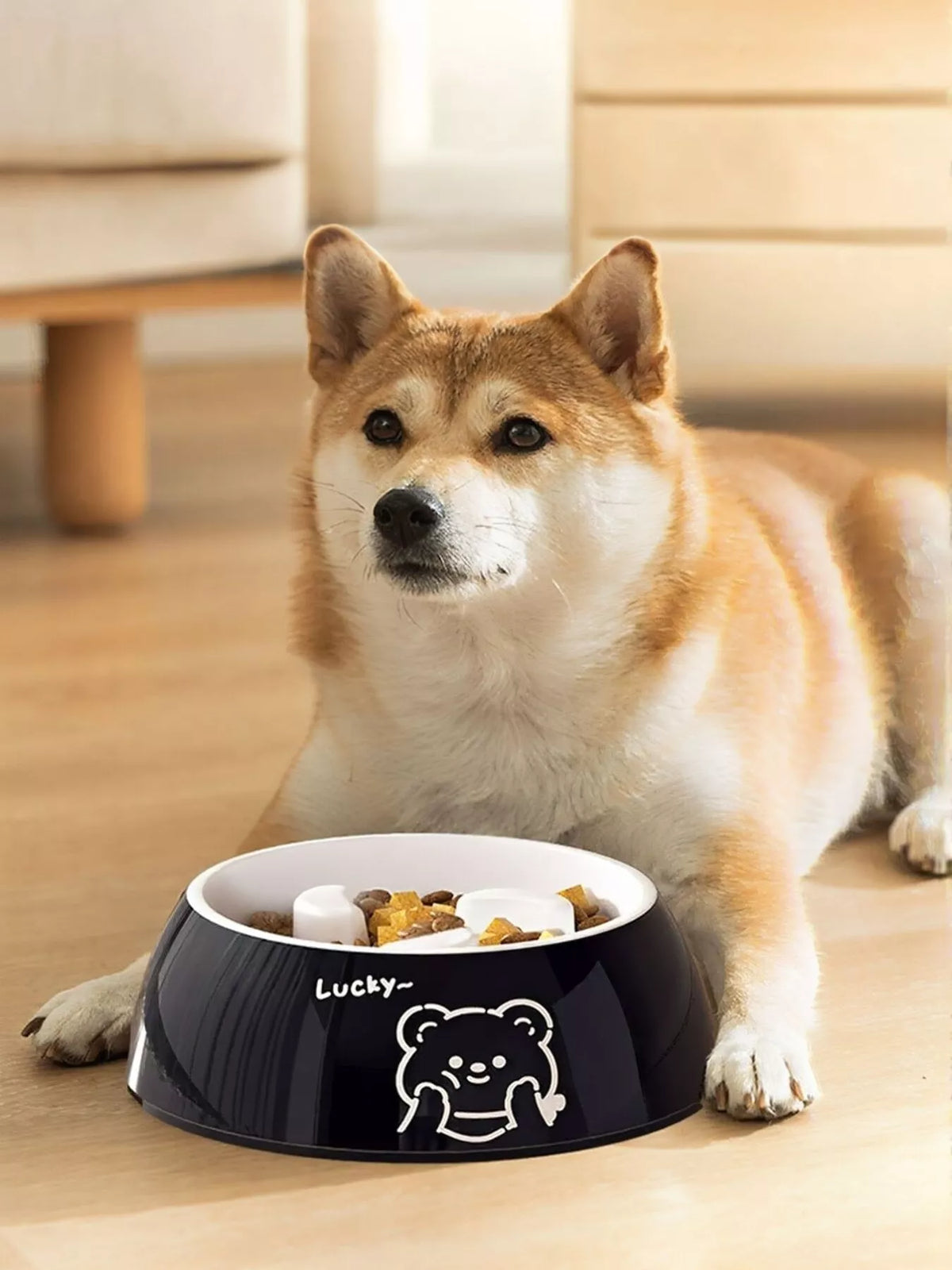 Cute Cartoon Pattern Pet Bowl - Lilixa.store