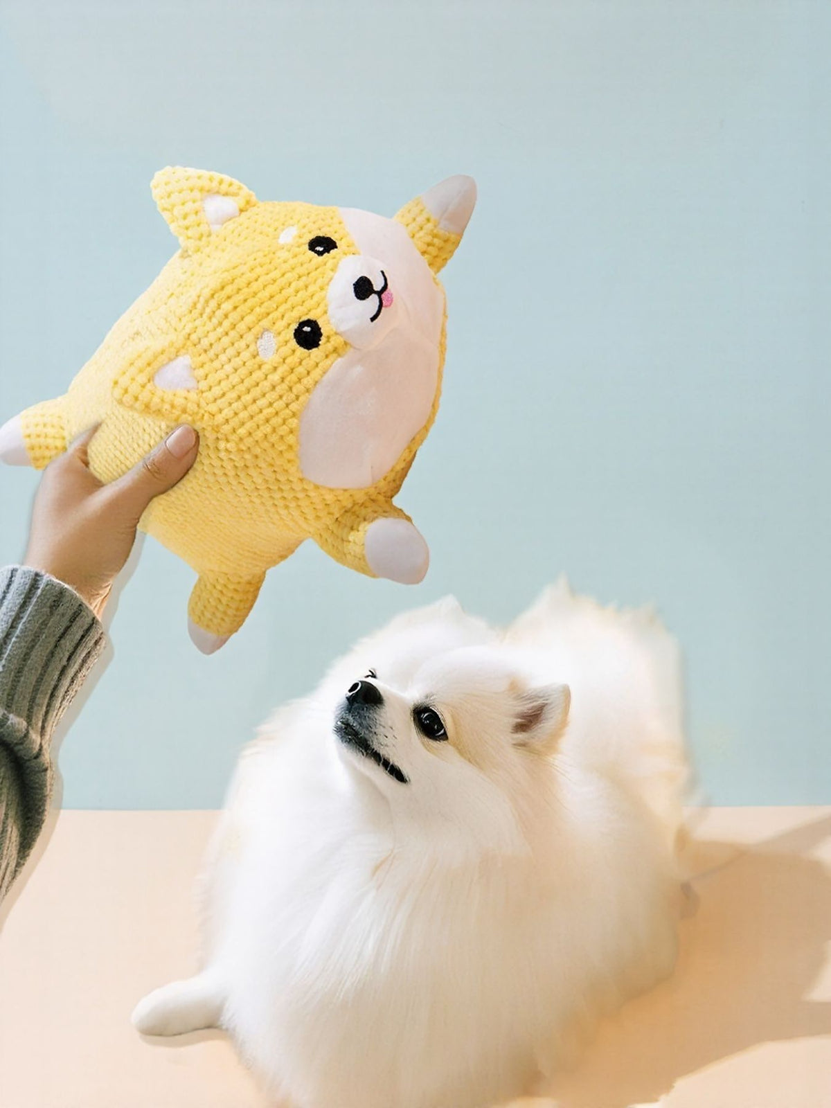 Squeaky Pet Plush Toy - Lilixa.store