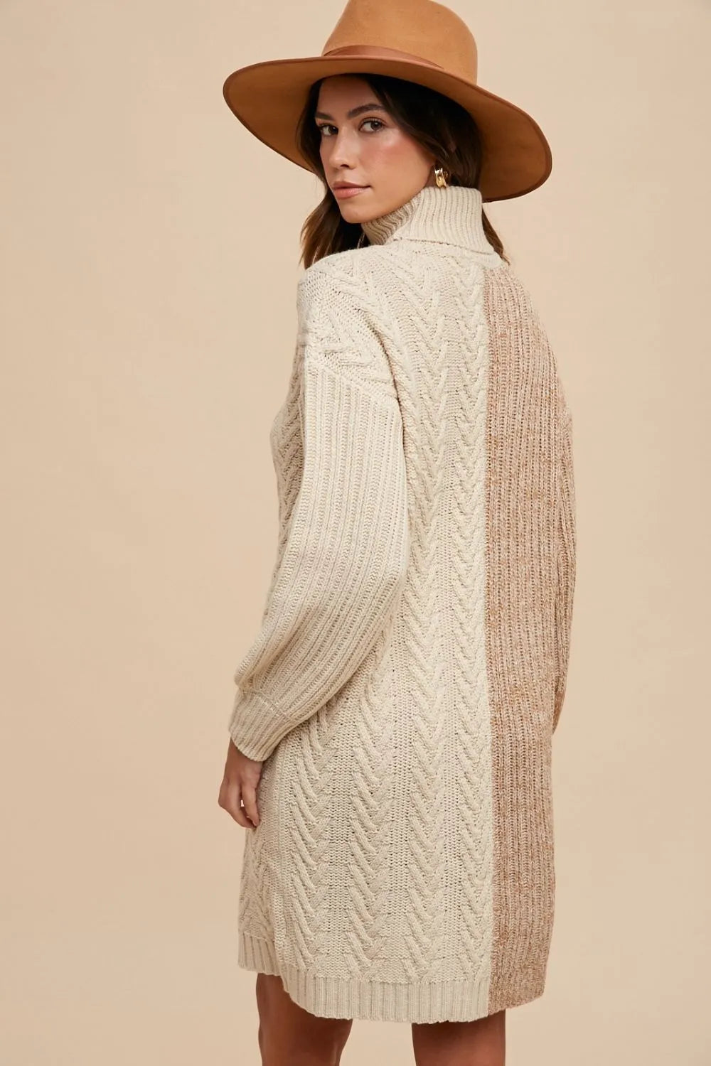 Annie Wear Color Block Turtleneck Sweater Dress - Lilixa.store