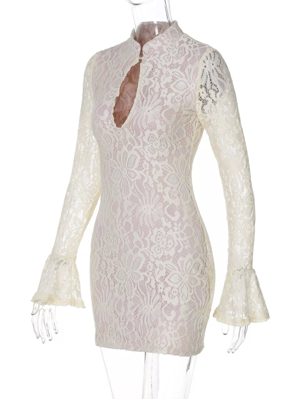 Lace Cutout Long Sleeve Mini Dress - Lilixa.store