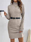 Turtleneck Ribbed Knit Dress - Lilixa.store