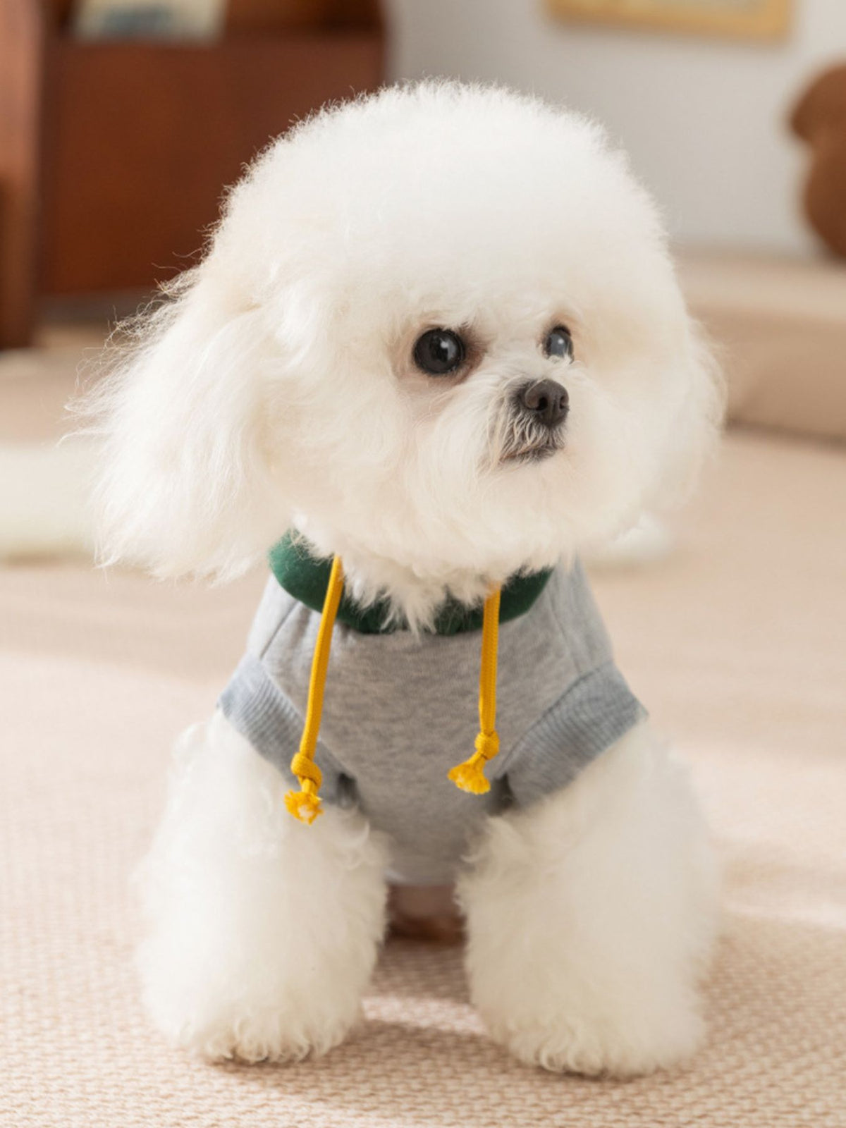 Cute Cartoon Pet Top - Lilixa.store