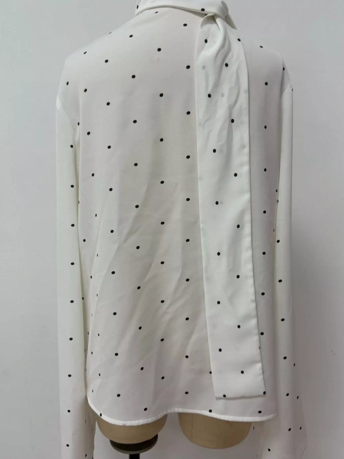 Polka Dot Silk Blouse with Scarf Neck Tie in White, view 9