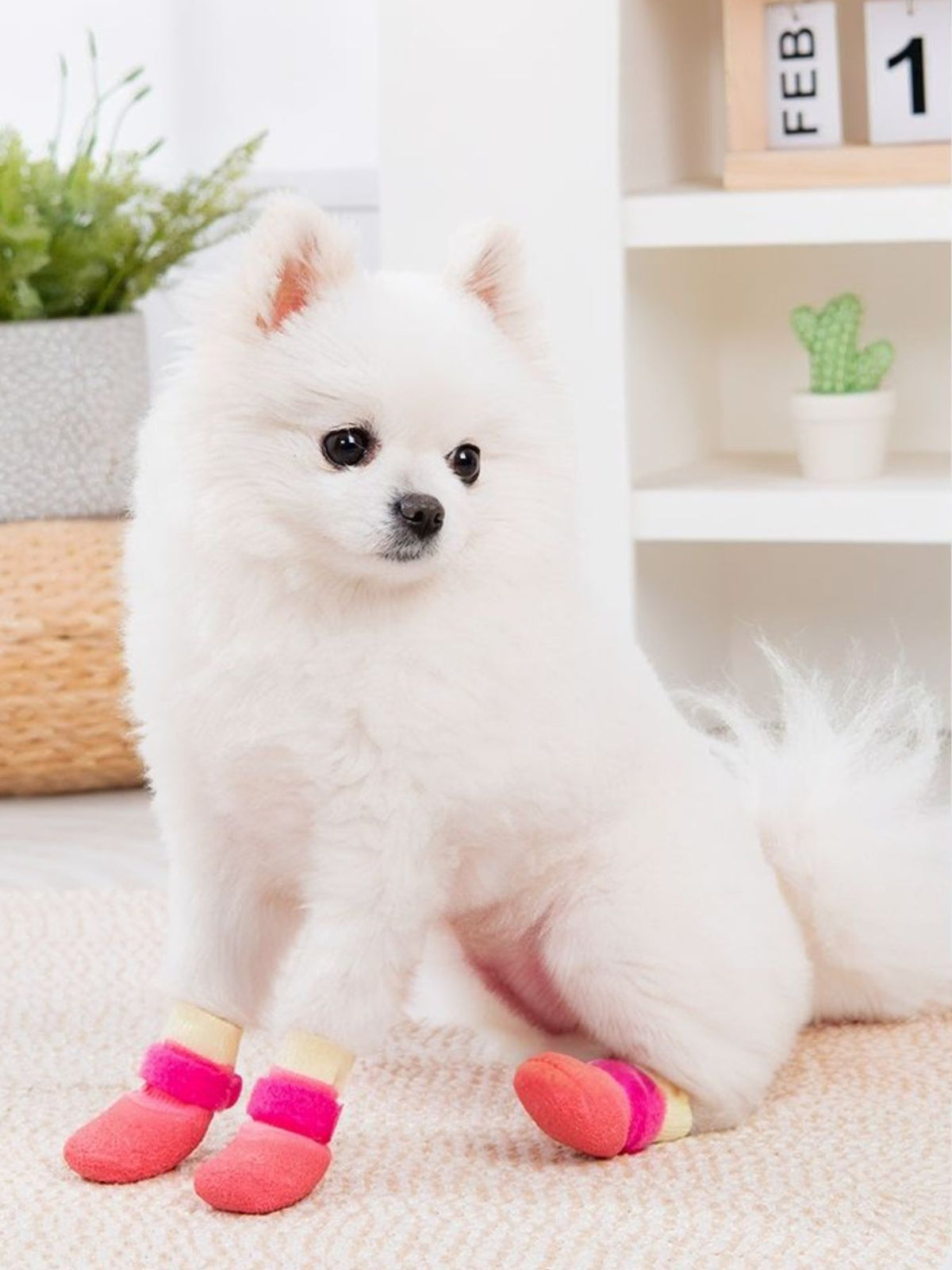 Waterproof Anti-Slip Pet Shoes - Lilixa.store