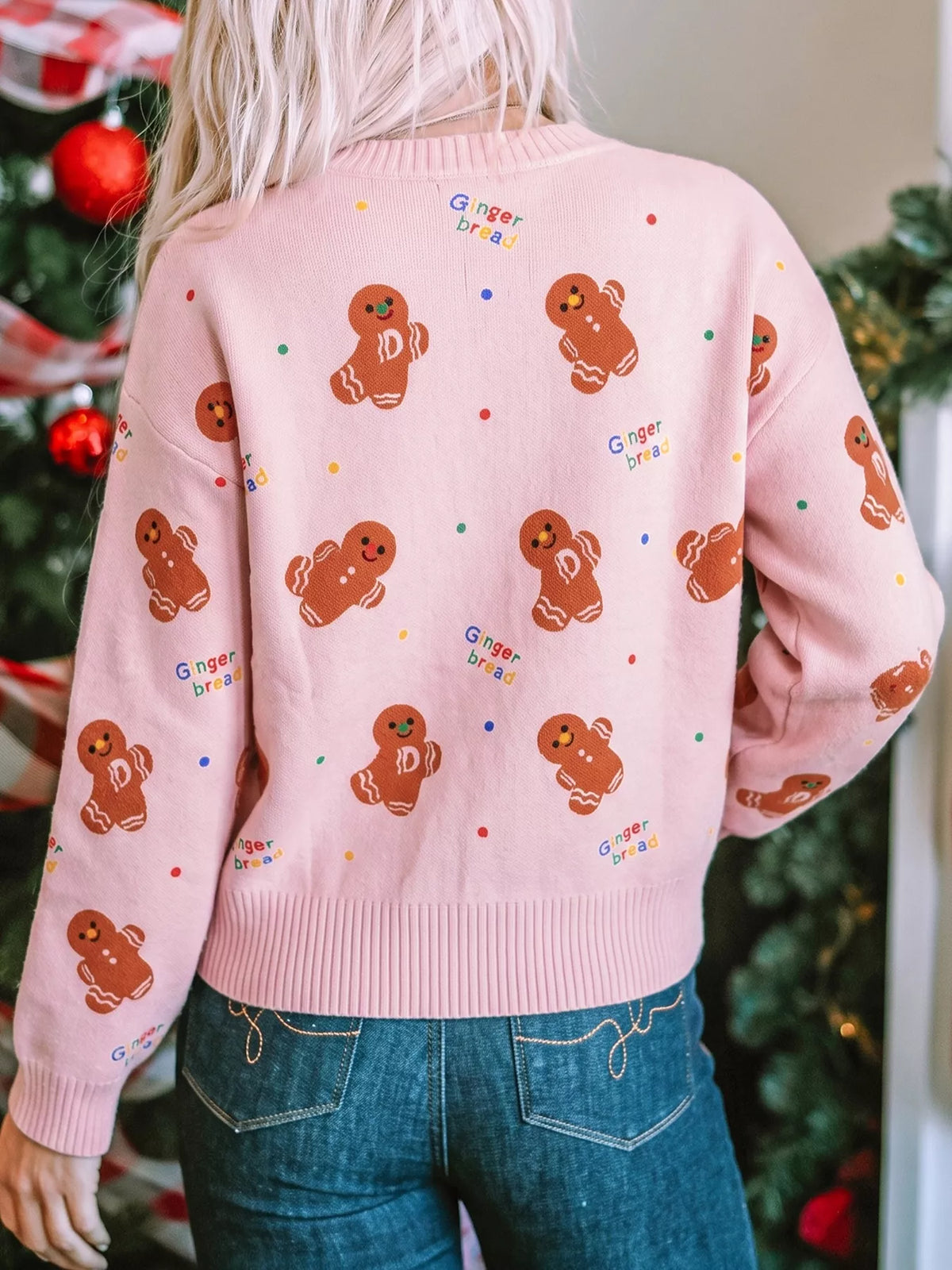 Gingerbread Pattern Long Sleeve Round Neck Sweater