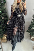 Polka Dot Sheer Mesh Long Sleeve Maxi Dress - Lilixa.store