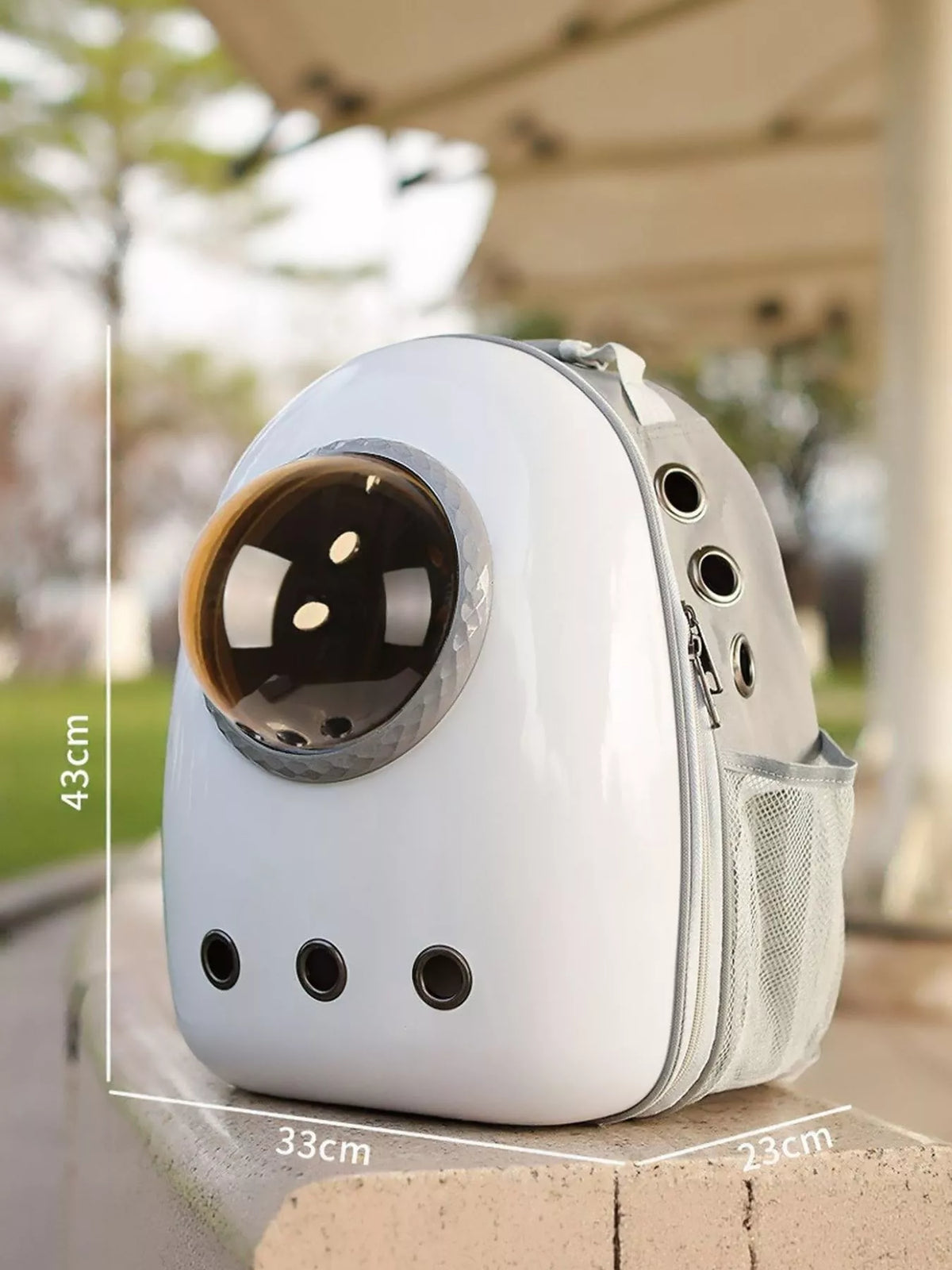 Space Capsule Transparent Pet Carrier Backpack - Lilixa.store