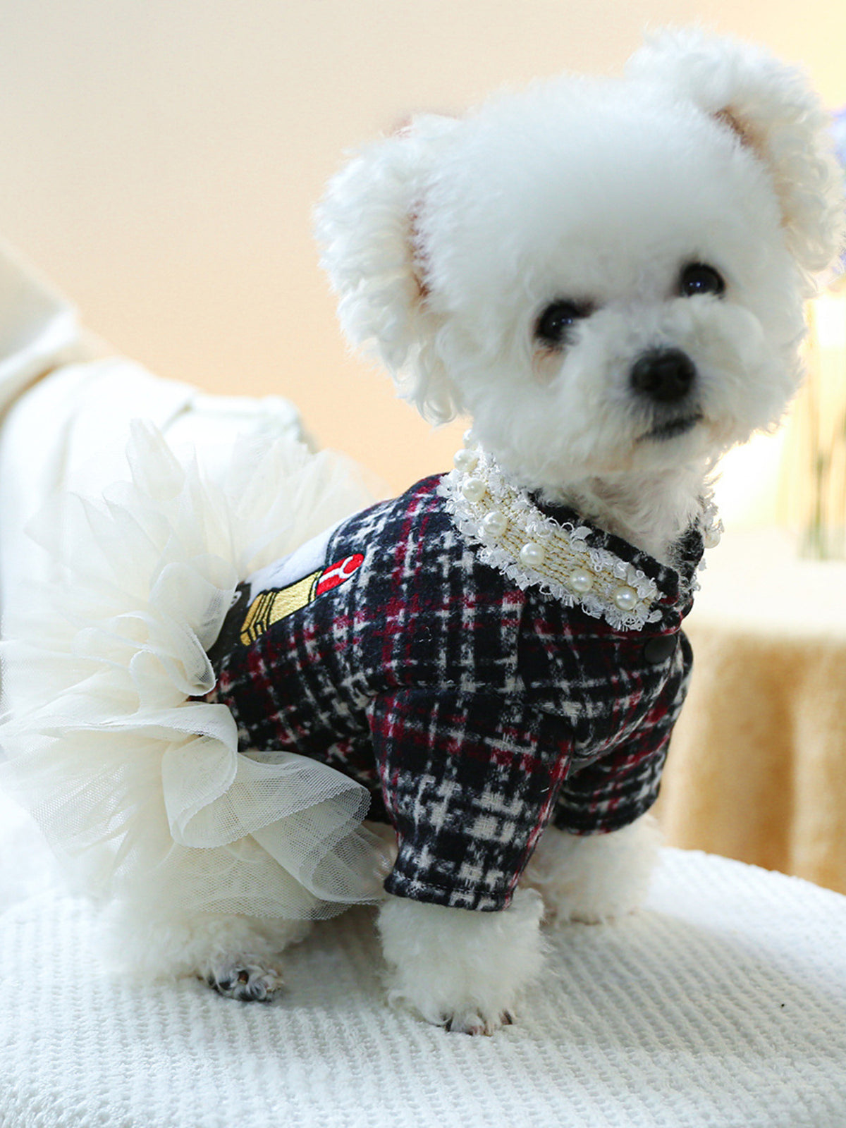 Pearl Collar Pet Dress - Lilixa.store