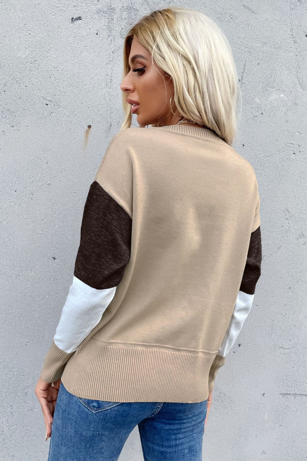 Perfee Color Block Ribbed Trim Round Neck Knit Pullover - Lilixa.store